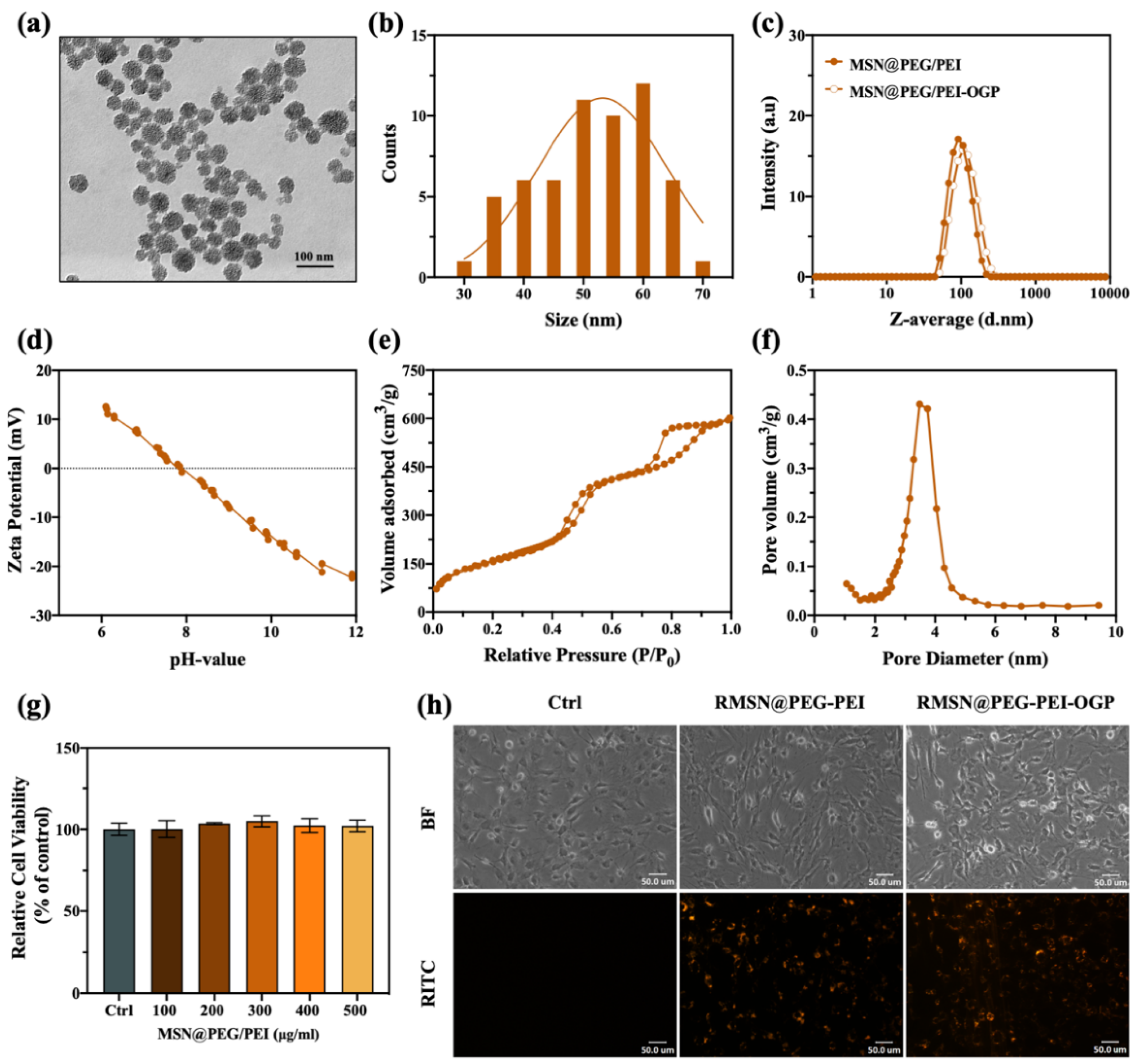 Pharmaceutics 14 01078 g002