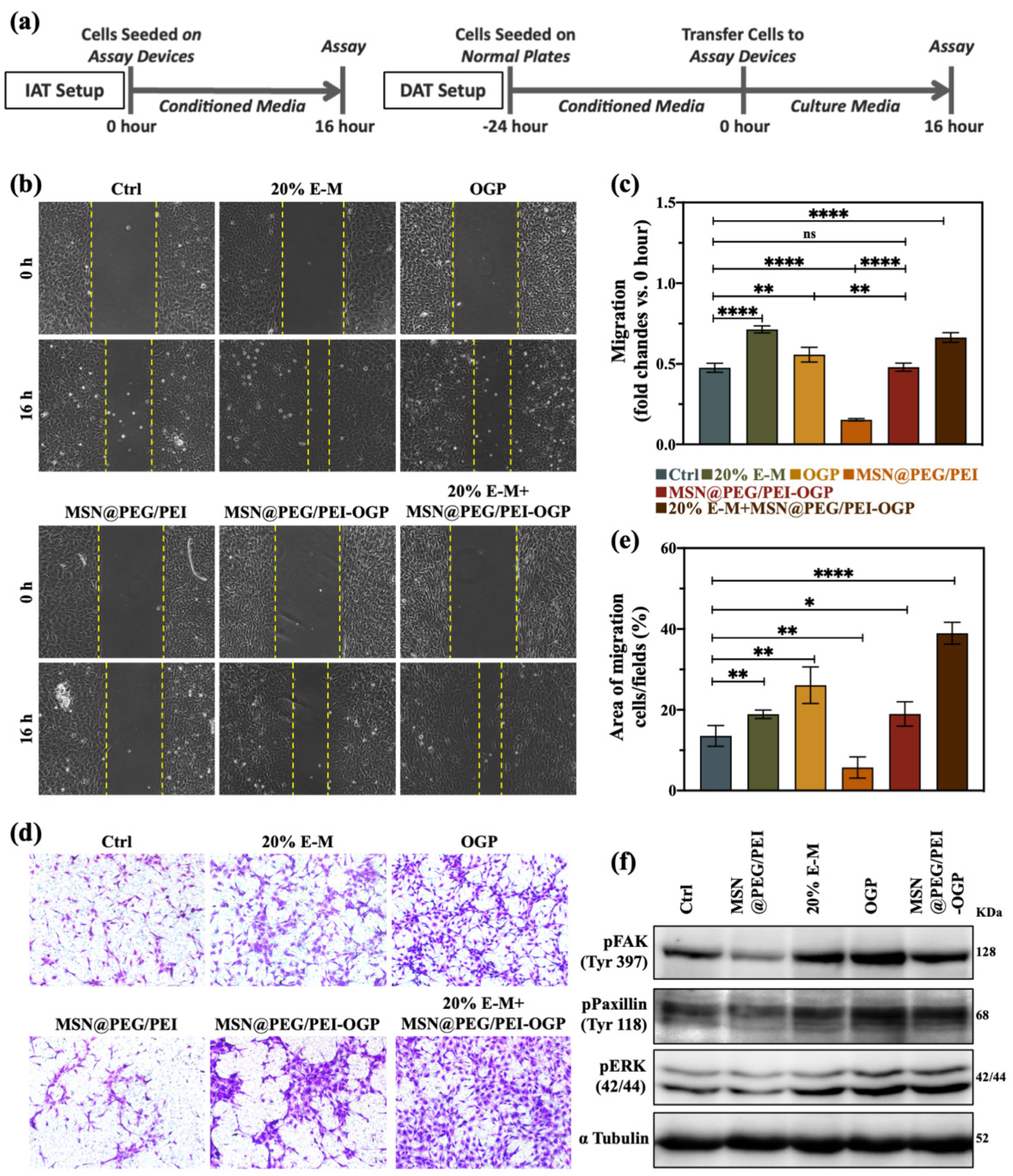 Pharmaceutics 14 01078 g003