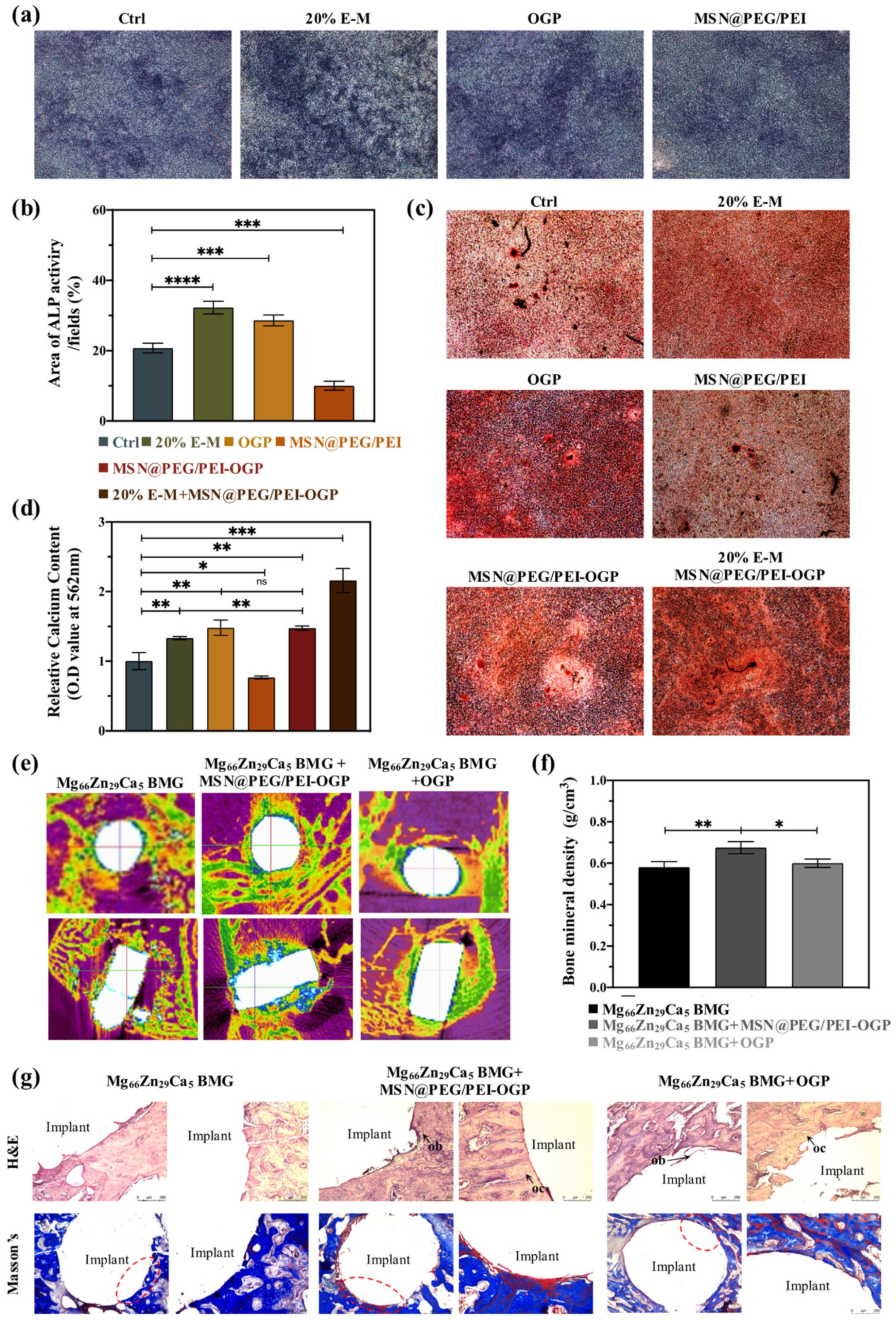 Pharmaceutics 14 01078 g004