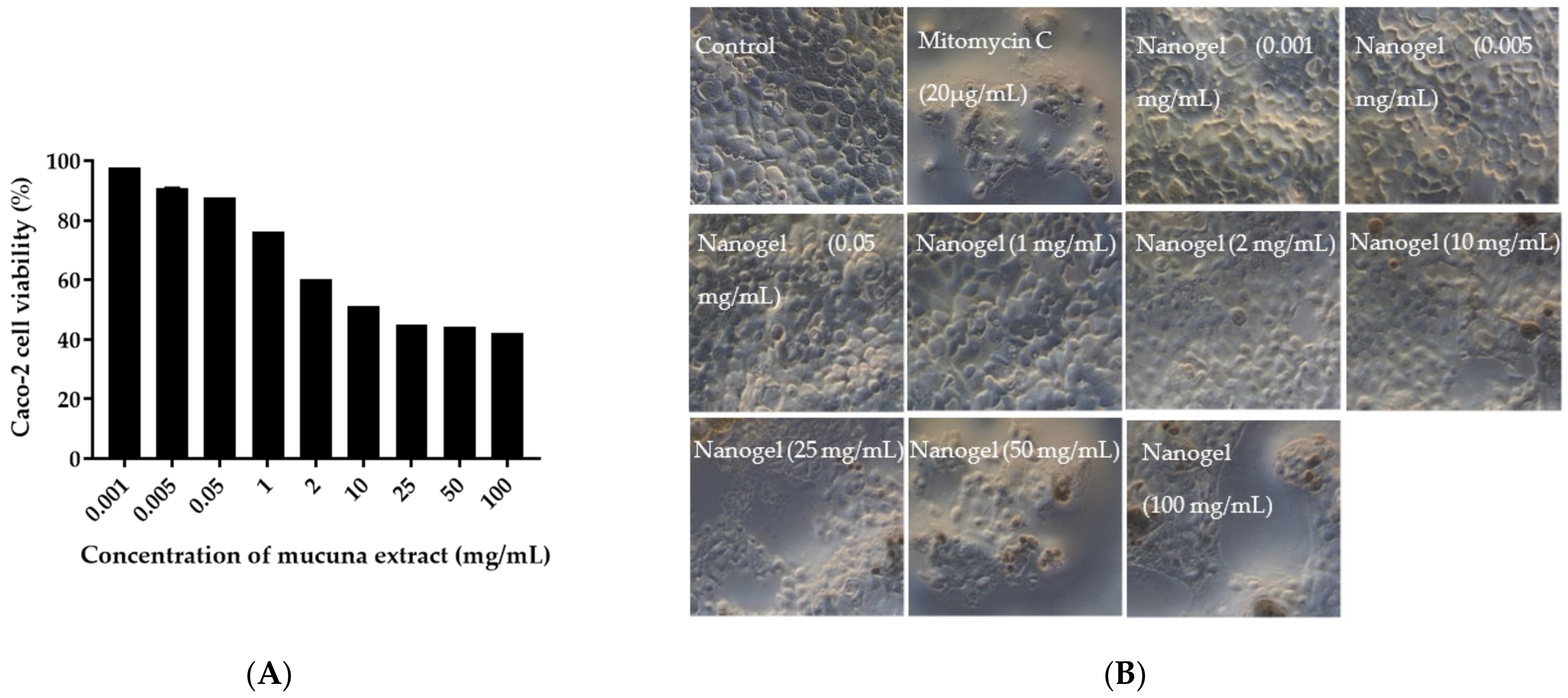 Pharmaceutics 14 01079 g007