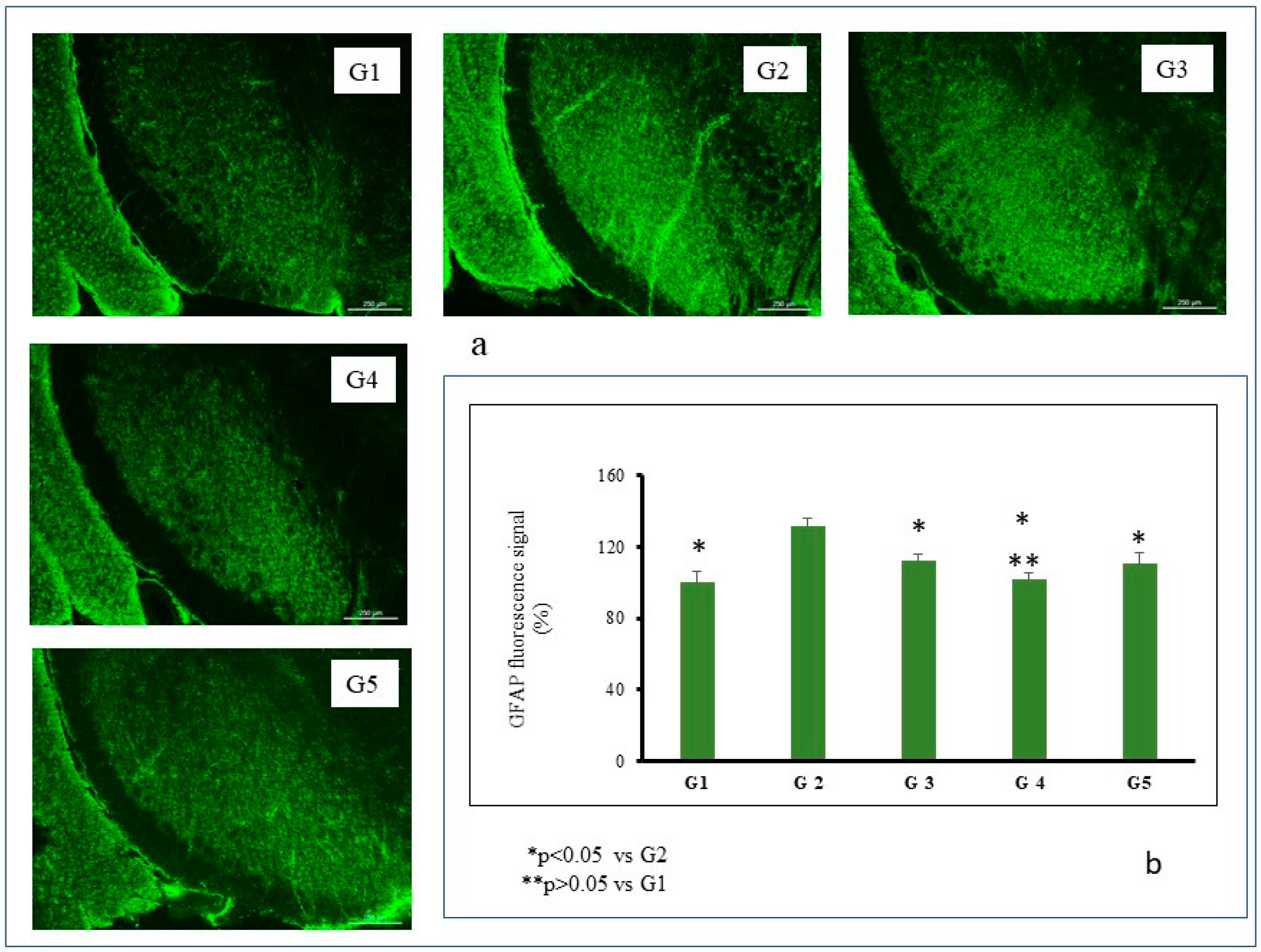 Pharmaceutics 14 01080 g005