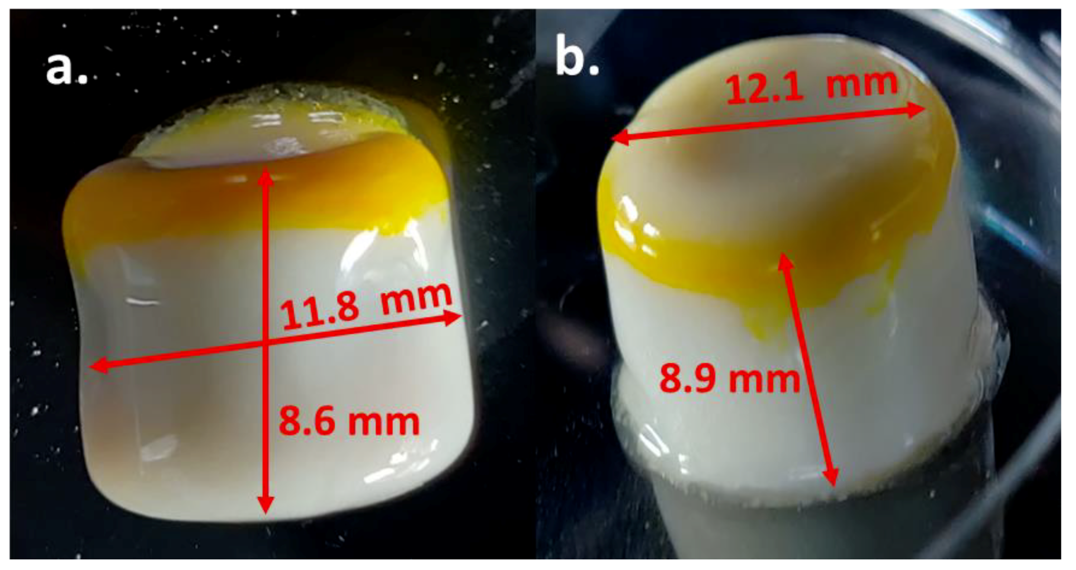 Pharmaceutics 14 01082 g013