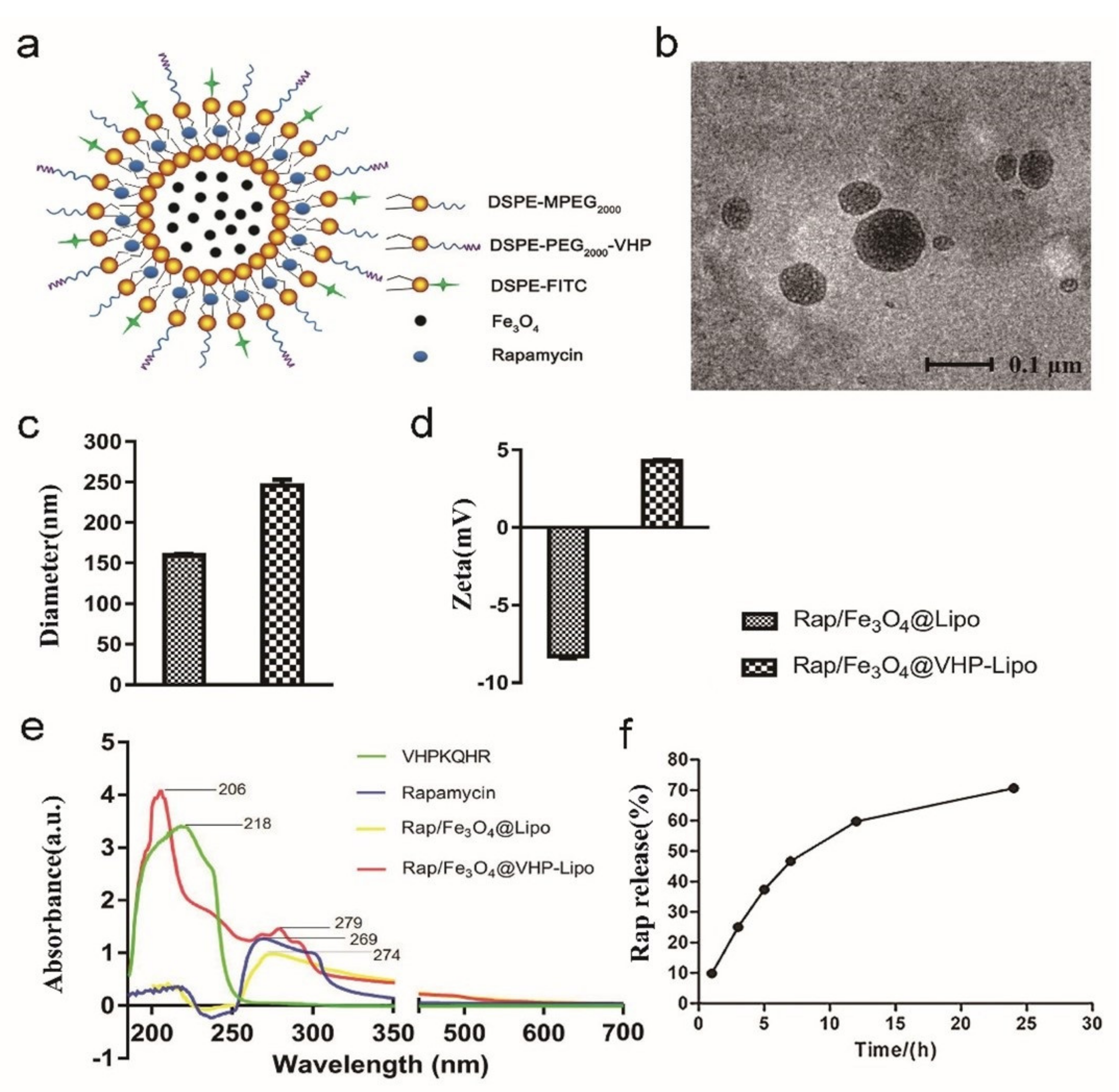 Pharmaceutics 14 01083 g001
