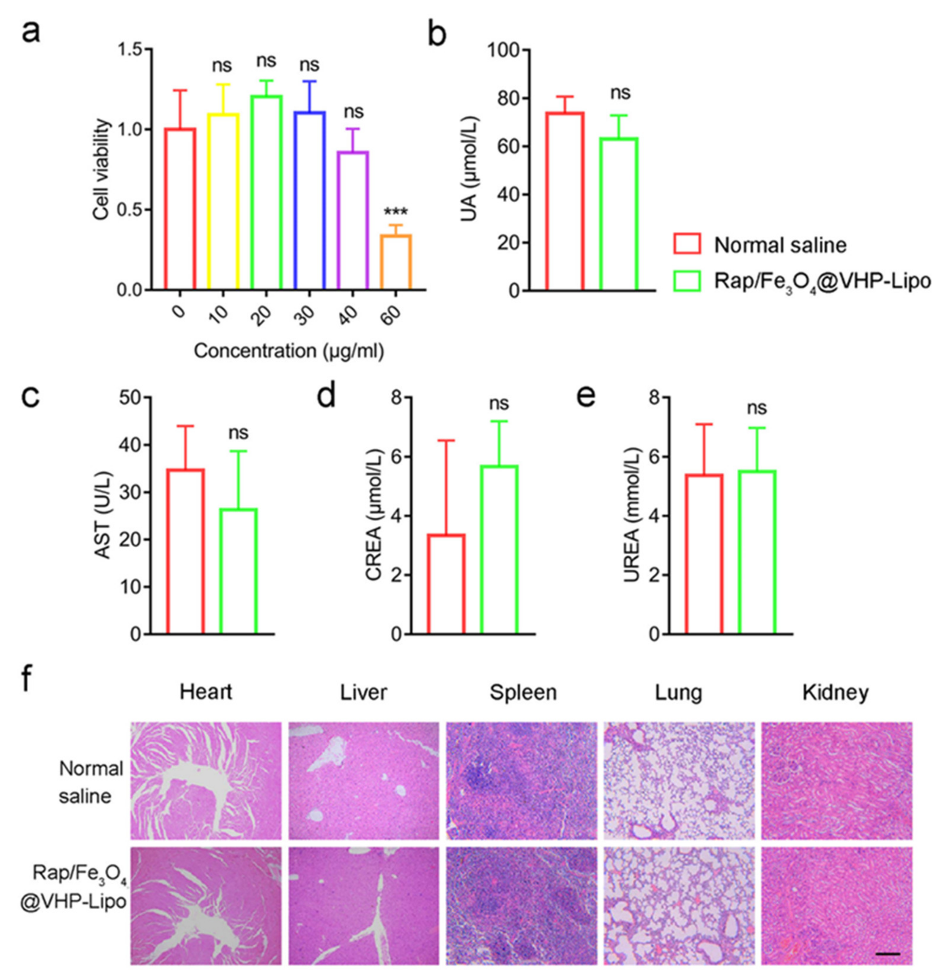 Pharmaceutics 14 01083 g002