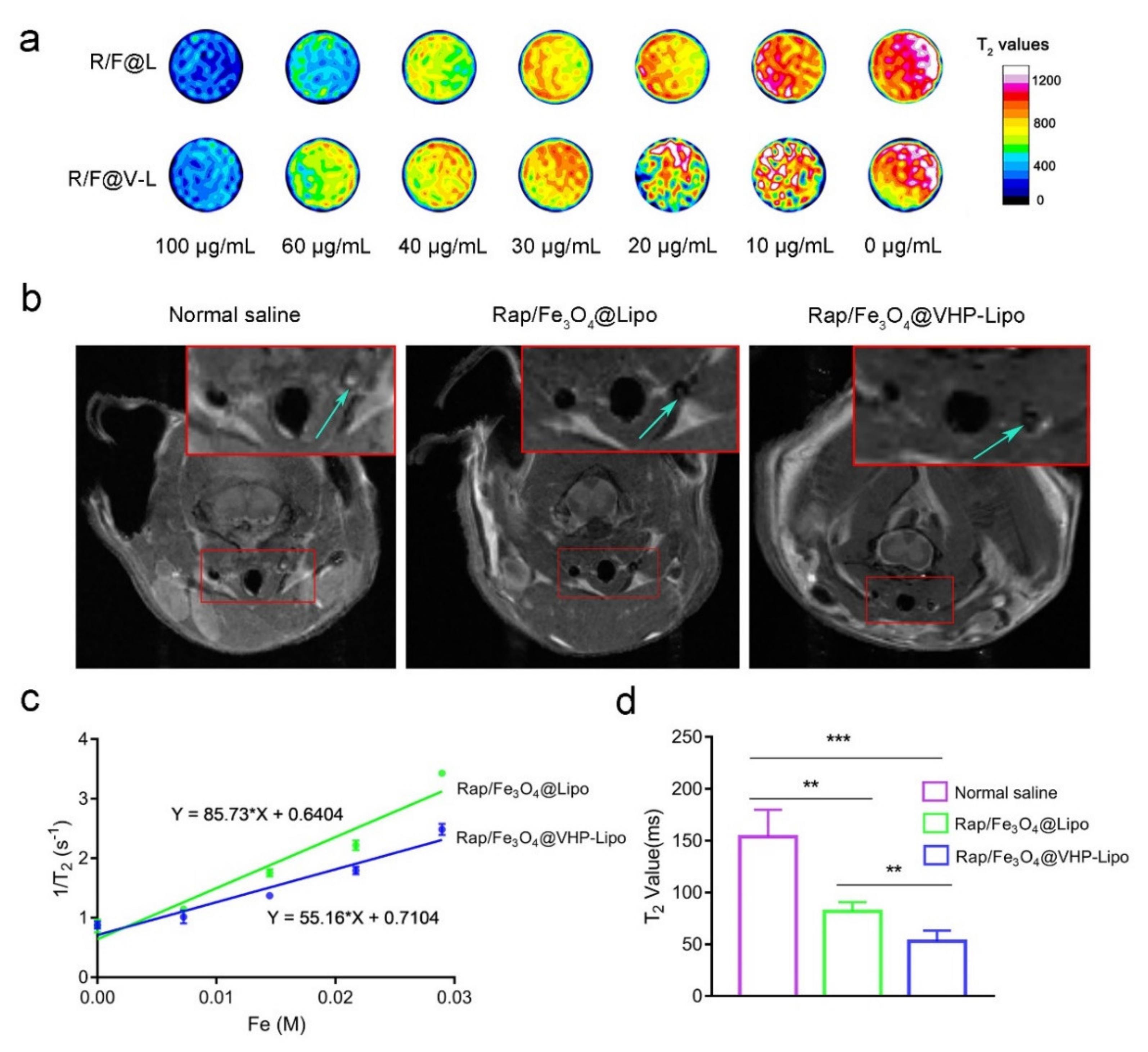 Pharmaceutics 14 01083 g005