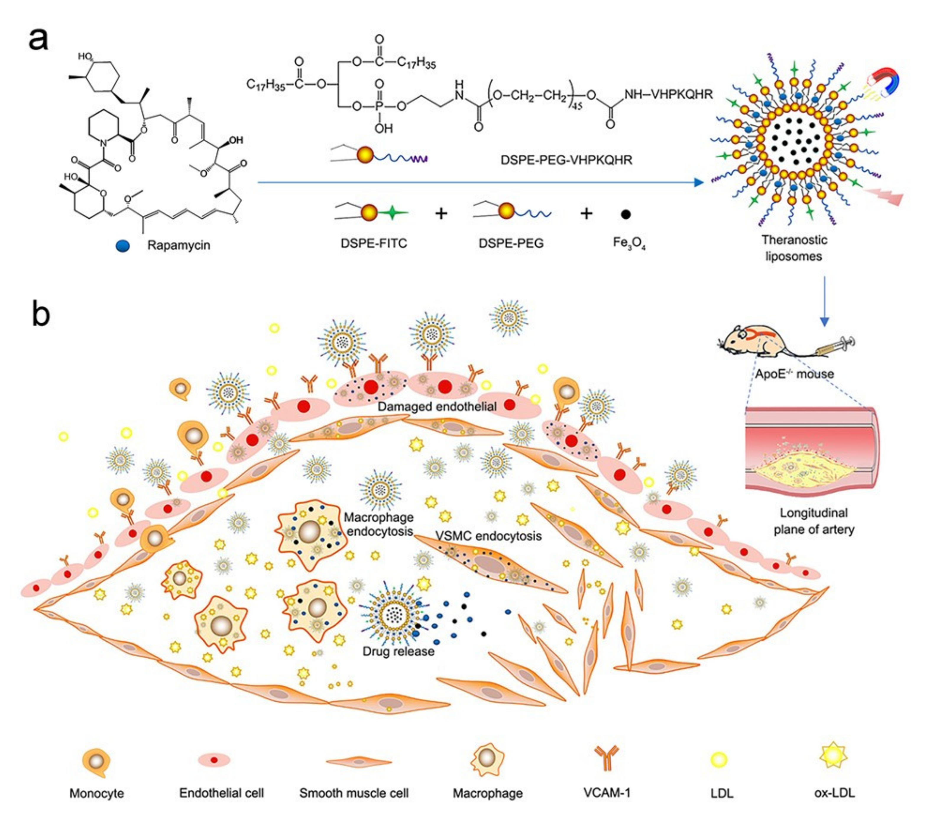 Pharmaceutics 14 01083 sch001