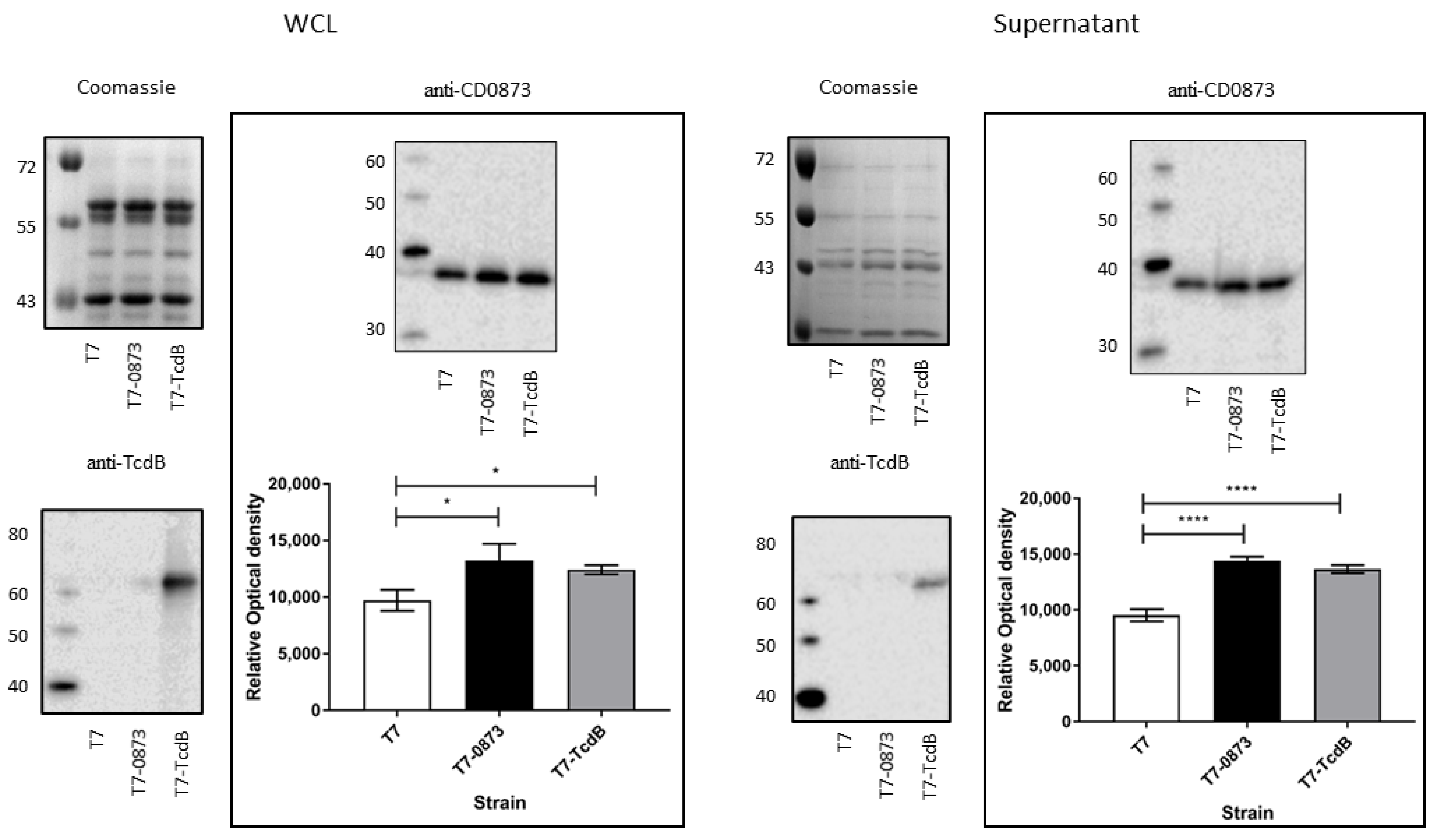 Pharmaceutics 14 01086 g003 Pharmaceutics 14 01086 g003