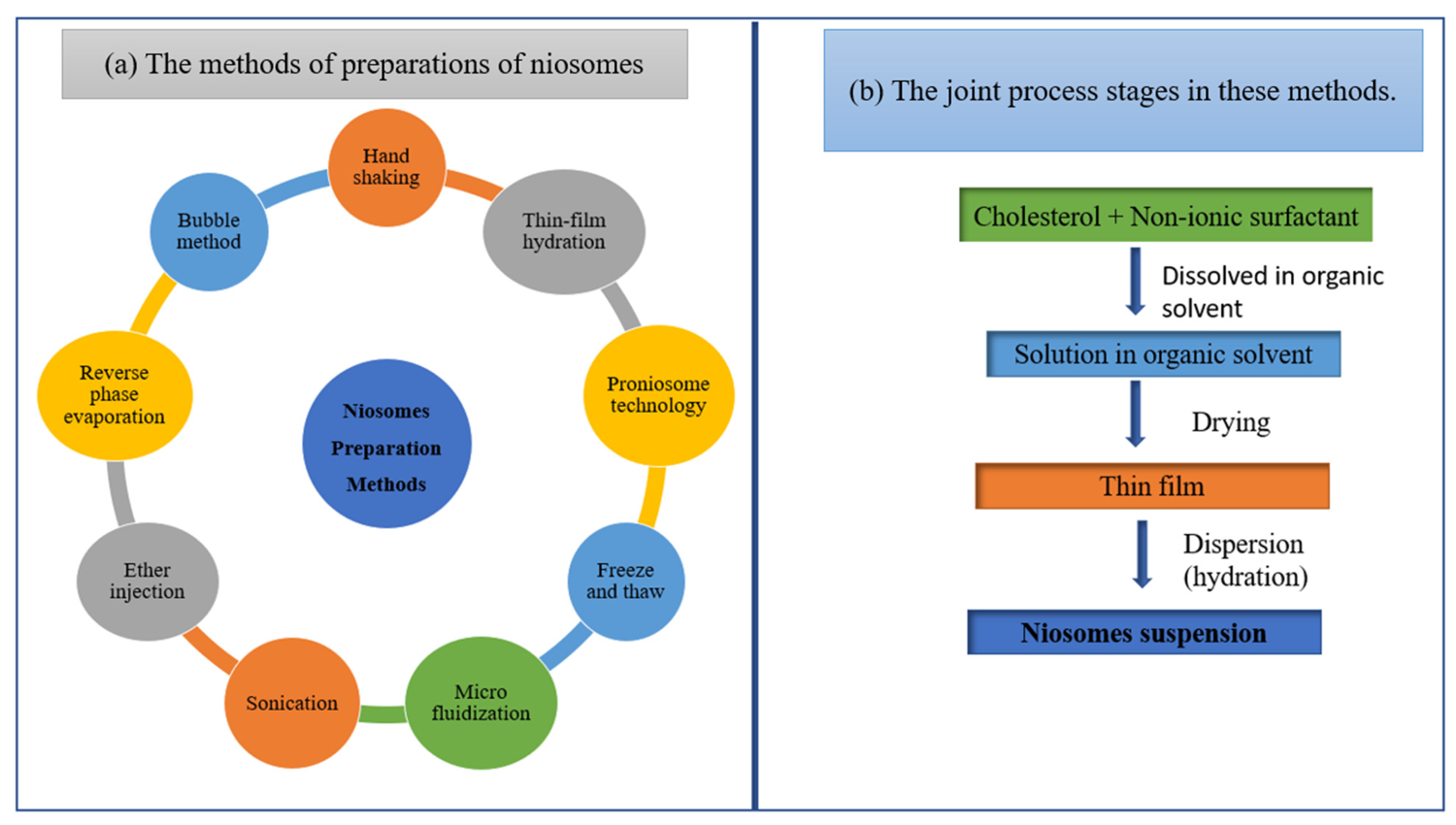 Pharmaceutics 14 01091 g009 Pharmaceutics 14 01091 g009