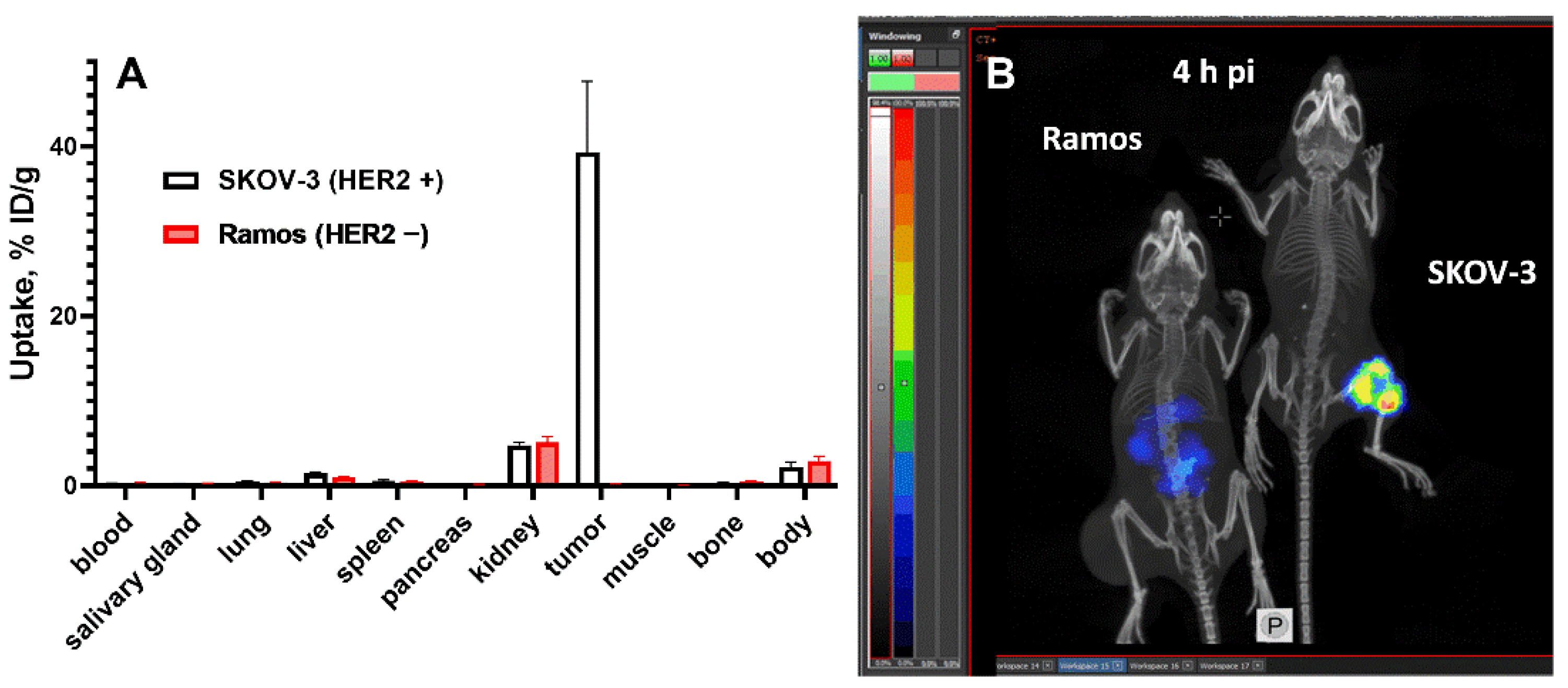 Pharmaceutics 14 01092 g007