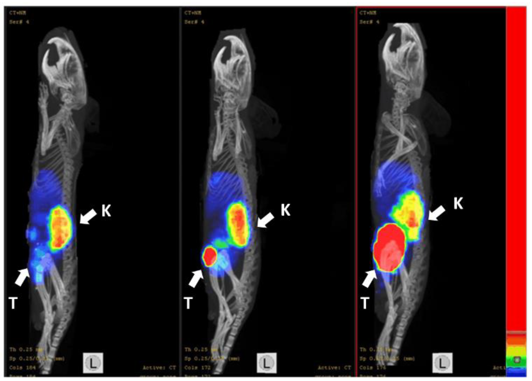 Pharmaceutics 14 01092 g013