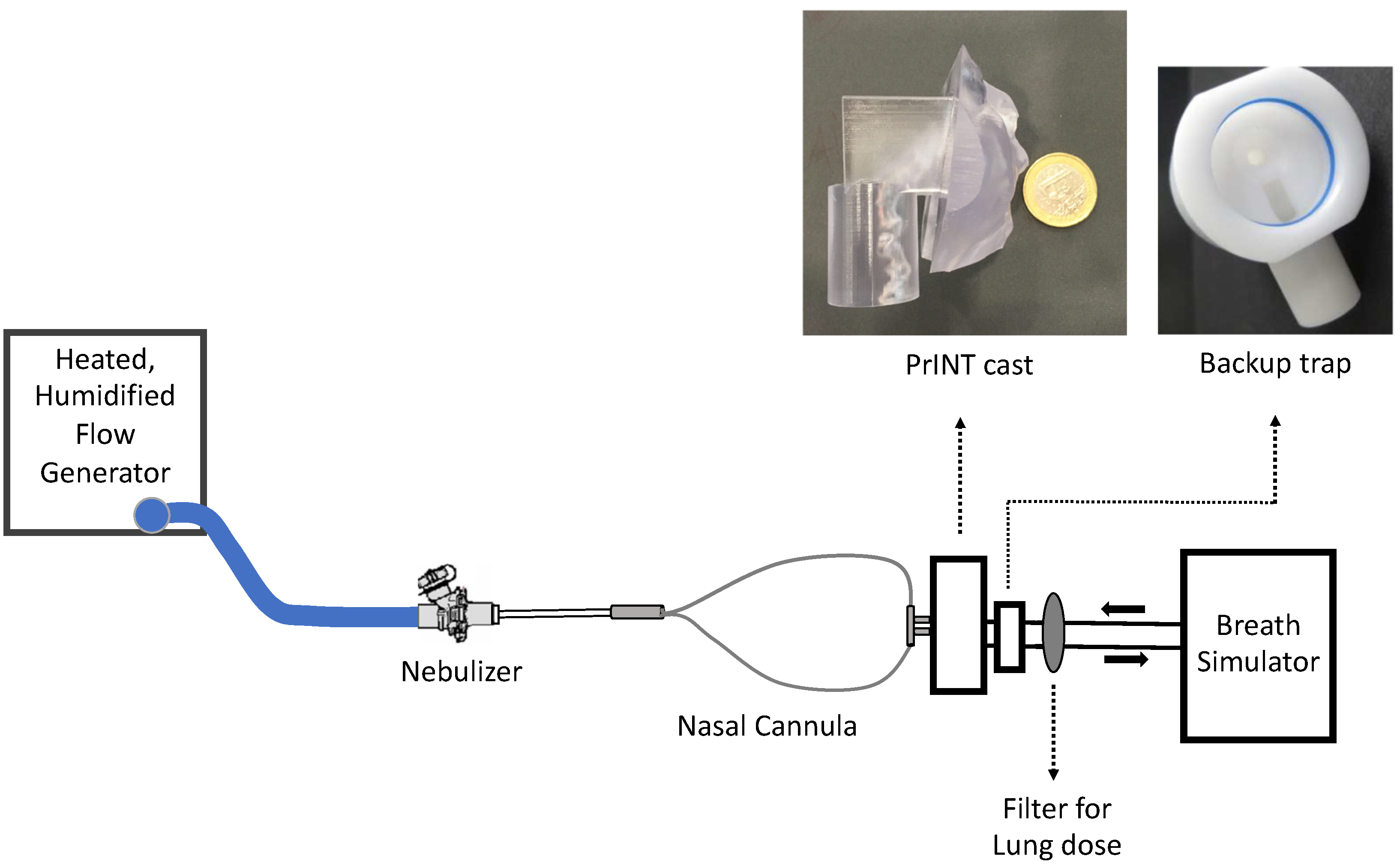 Pharmaceutics 14 01093 g001