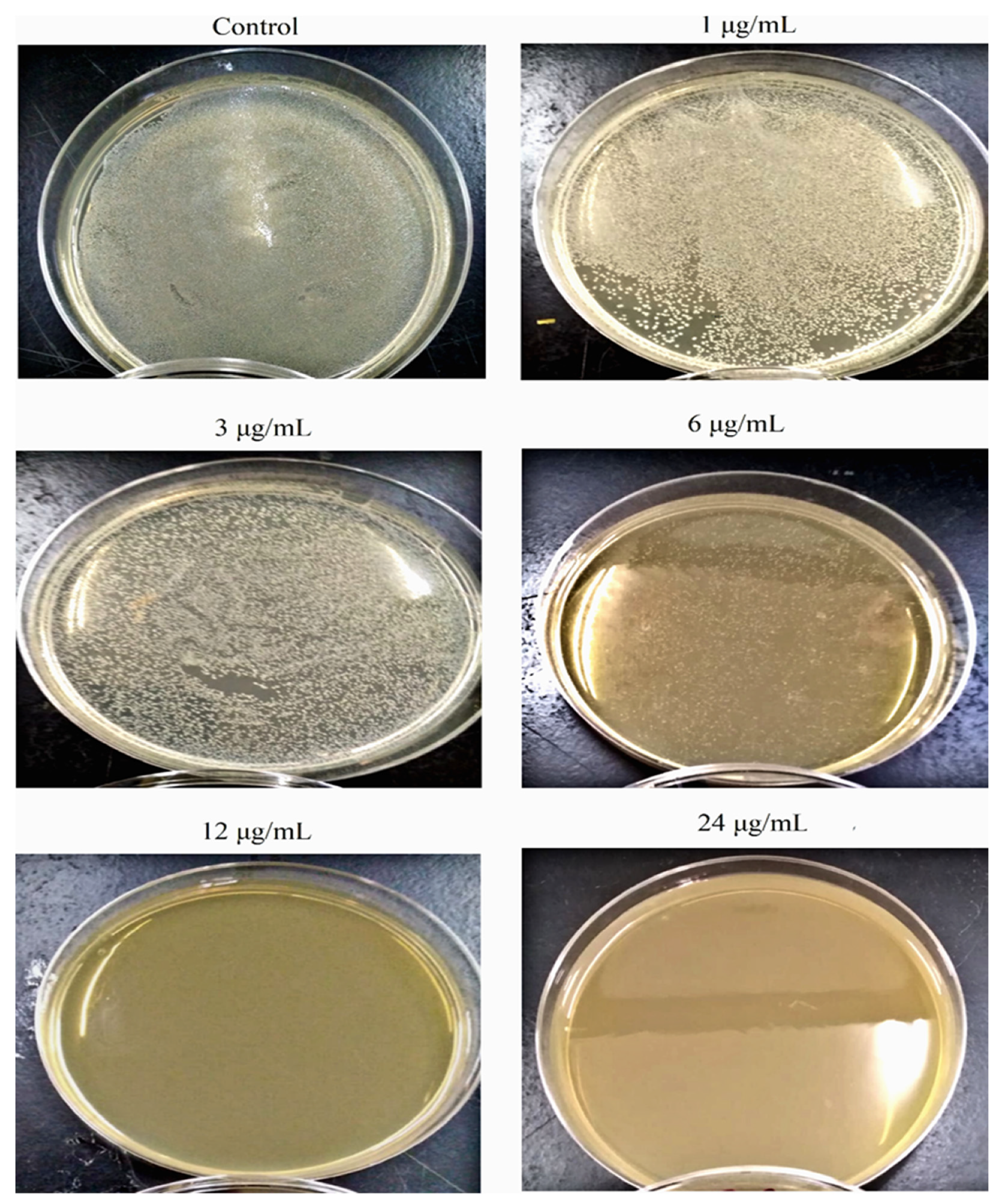 Pharmaceutics 14 01104 g006
