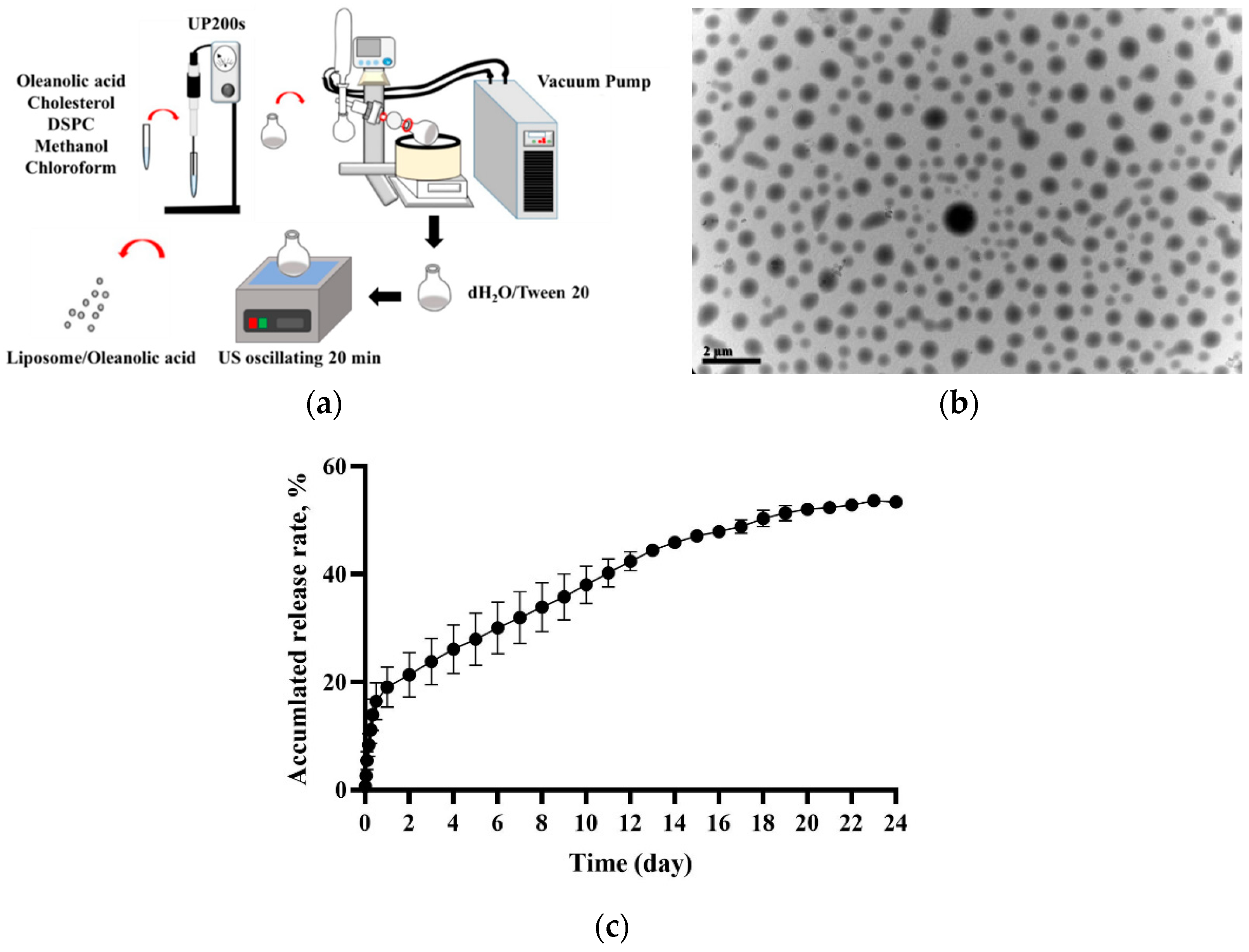 Pharmaceutics 14 01108 g001 Pharmaceutics 14 01108 g001