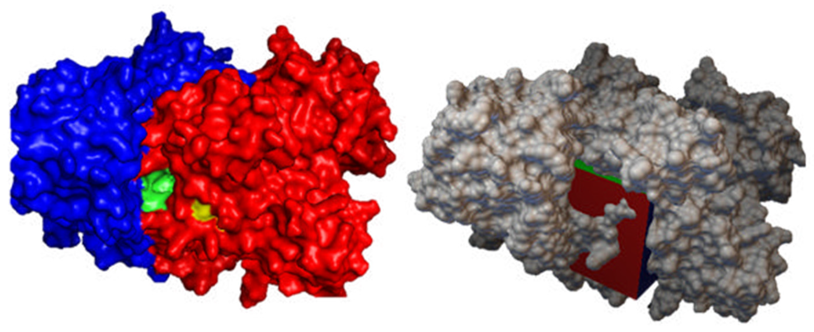 Pharmaceutics 14 01121 g003