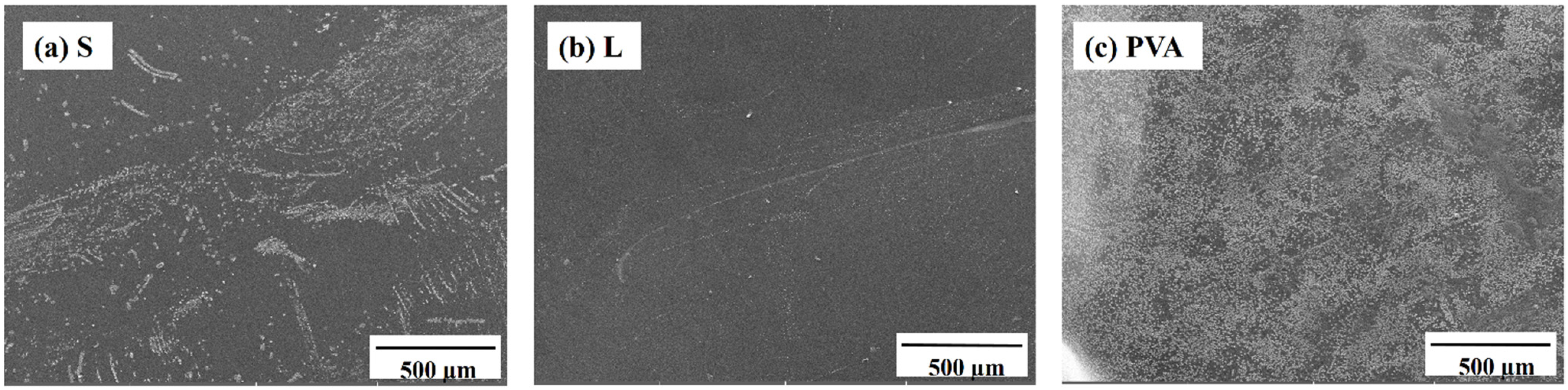 Pharmaceutics 14 01124 g002