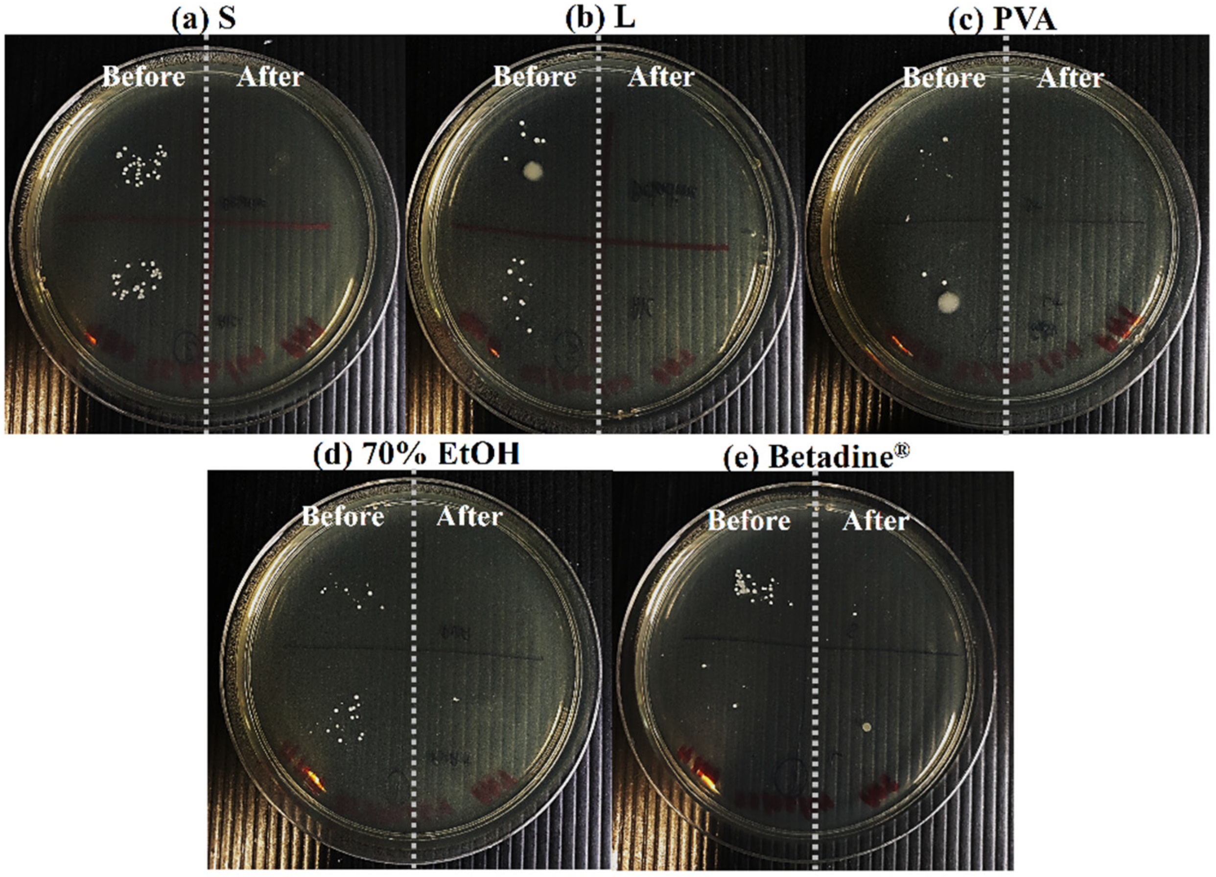 Pharmaceutics 14 01124 g006
