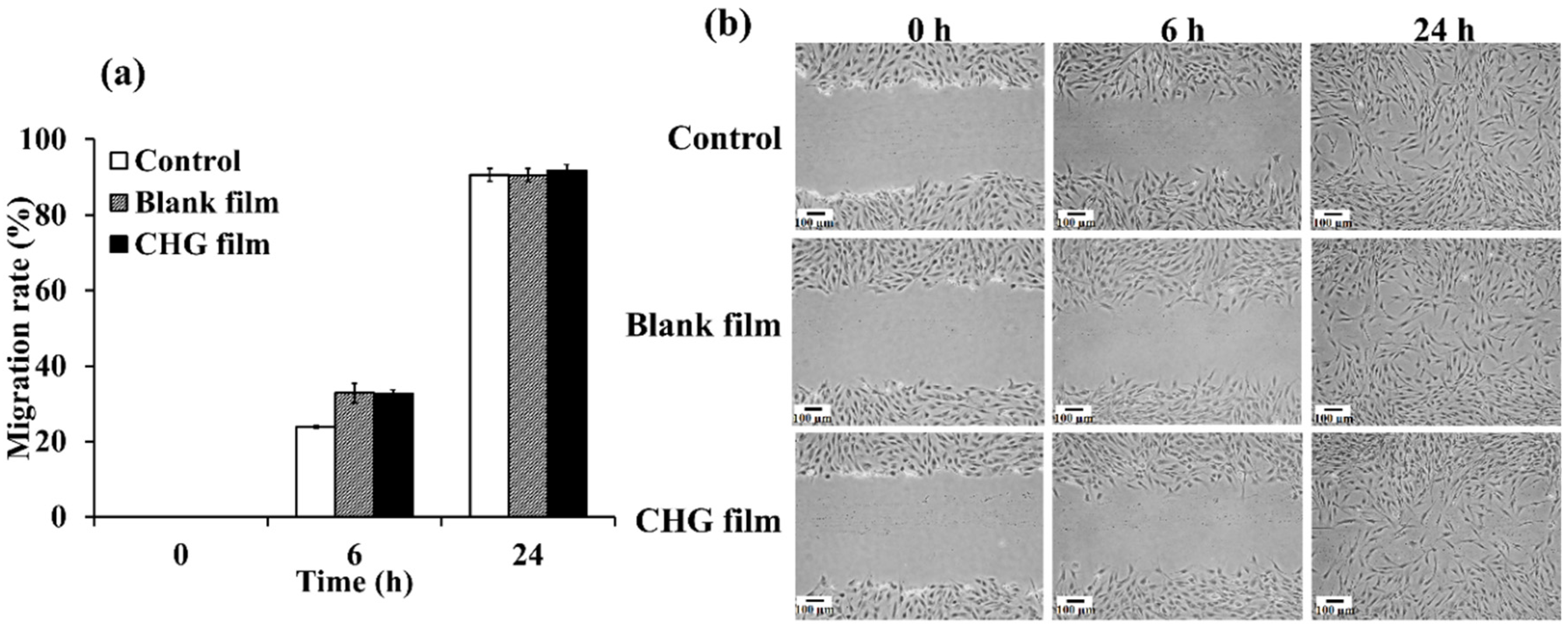 Pharmaceutics 14 01124 g008
