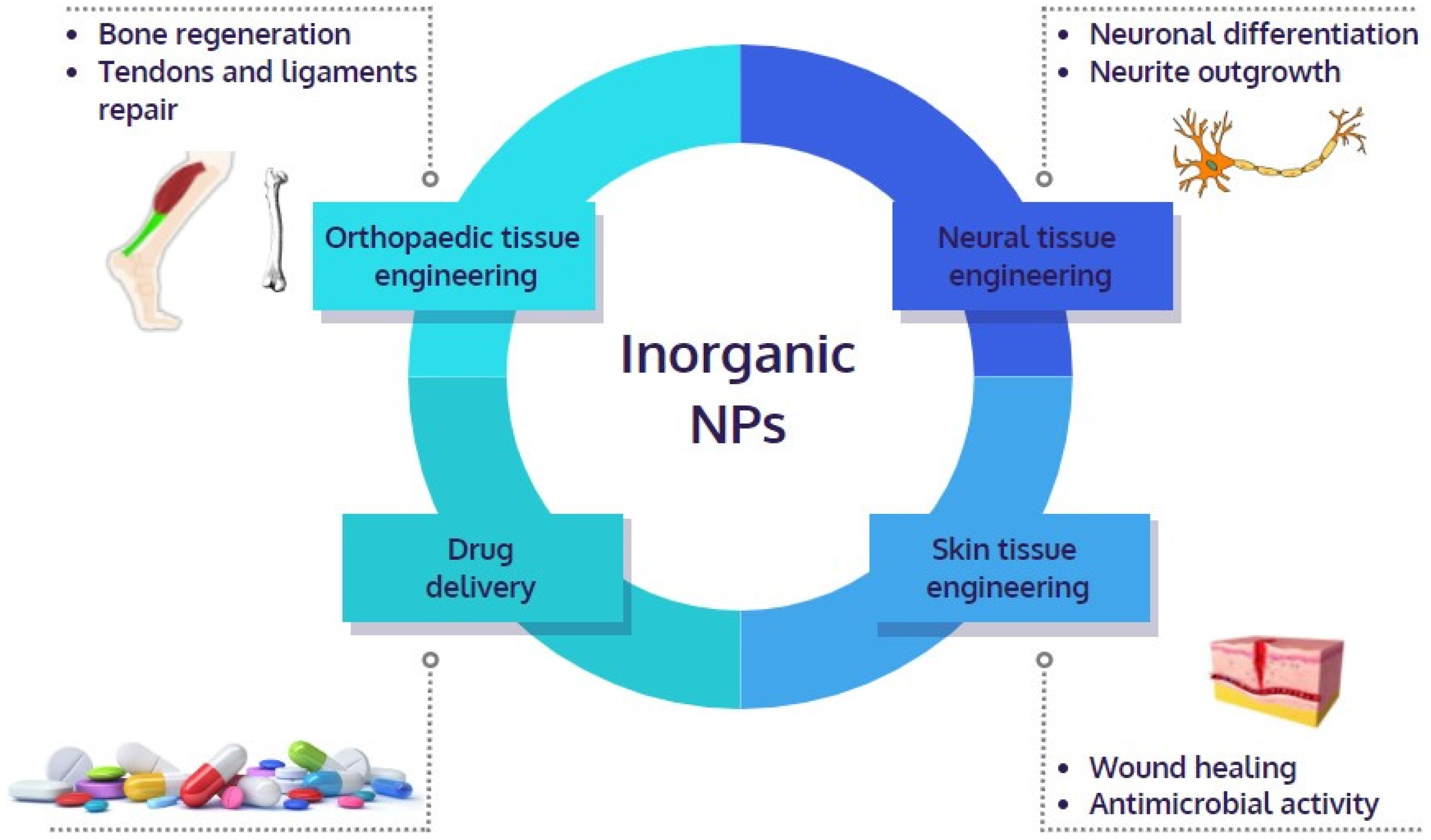 Pharmaceutics 14 01127 g001