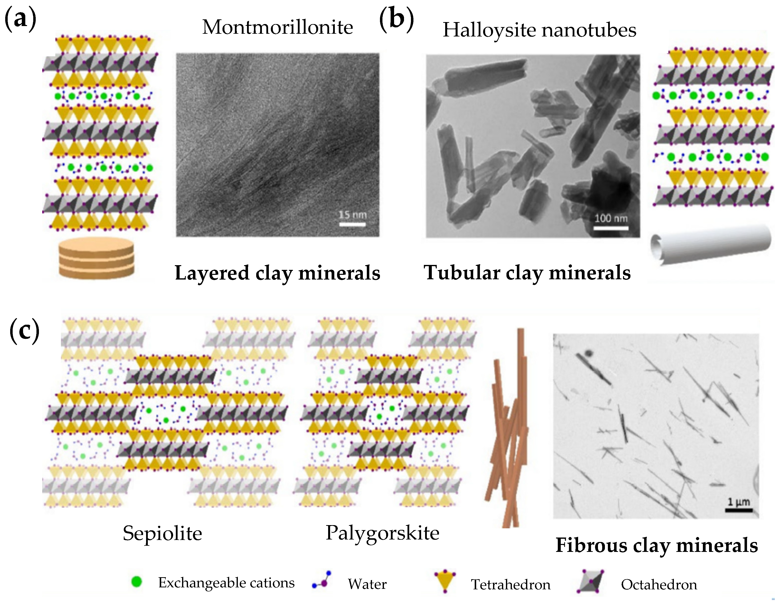 Pharmaceutics 14 01127 g003