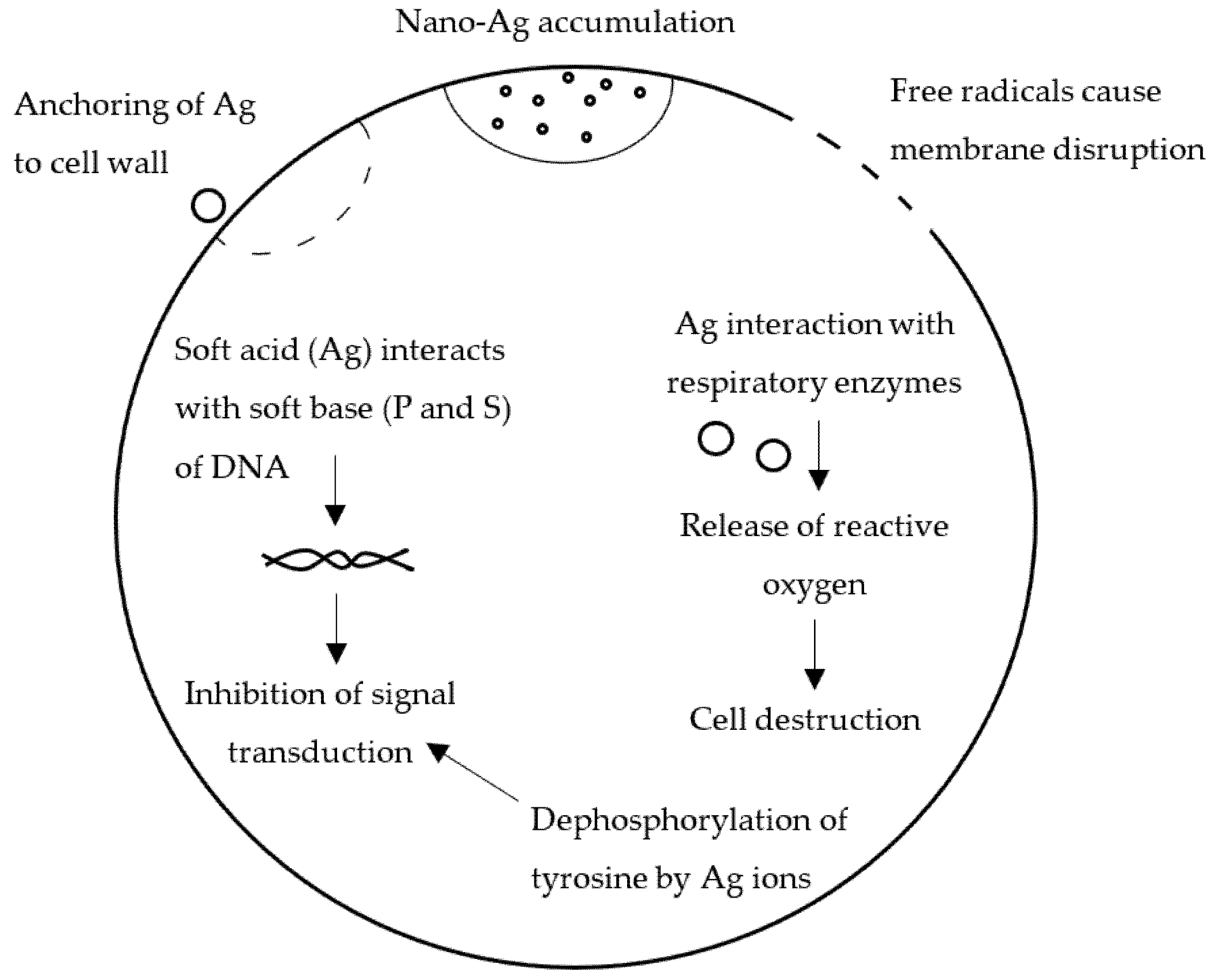 Pharmaceutics 14 01127 g009