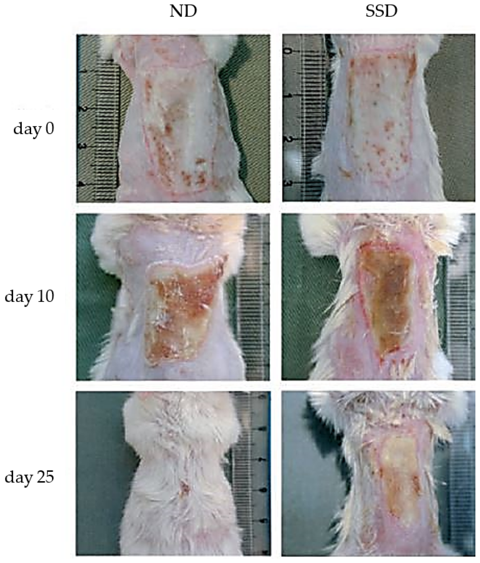 Pharmaceutics 14 01127 g010