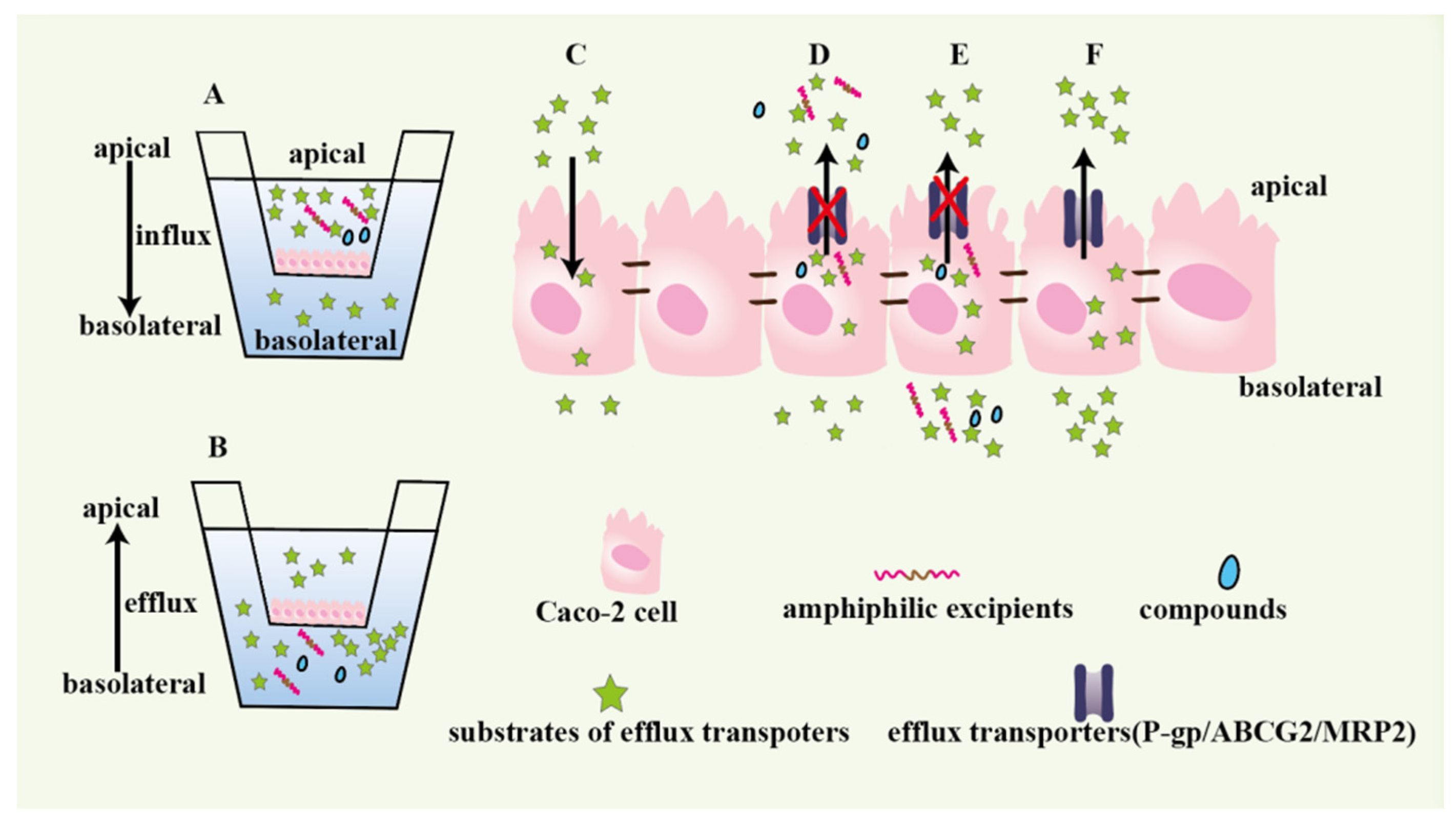 Pharmaceutics 14 01131 g001