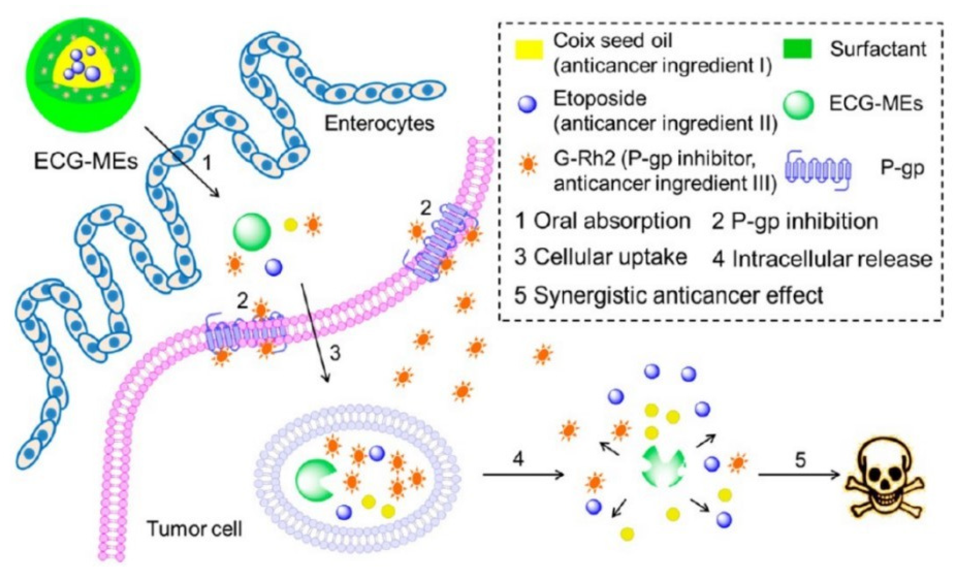 Pharmaceutics 14 01131 g008