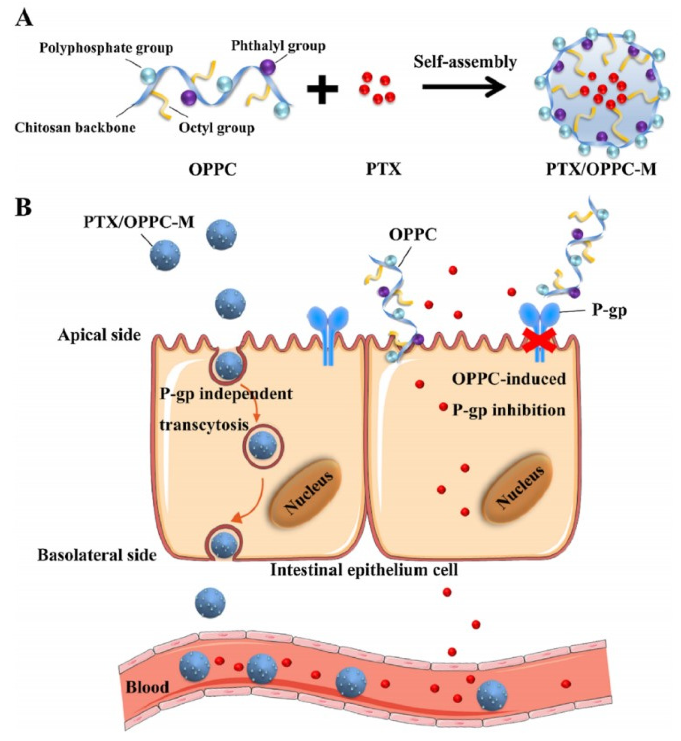 Pharmaceutics 14 01131 g009