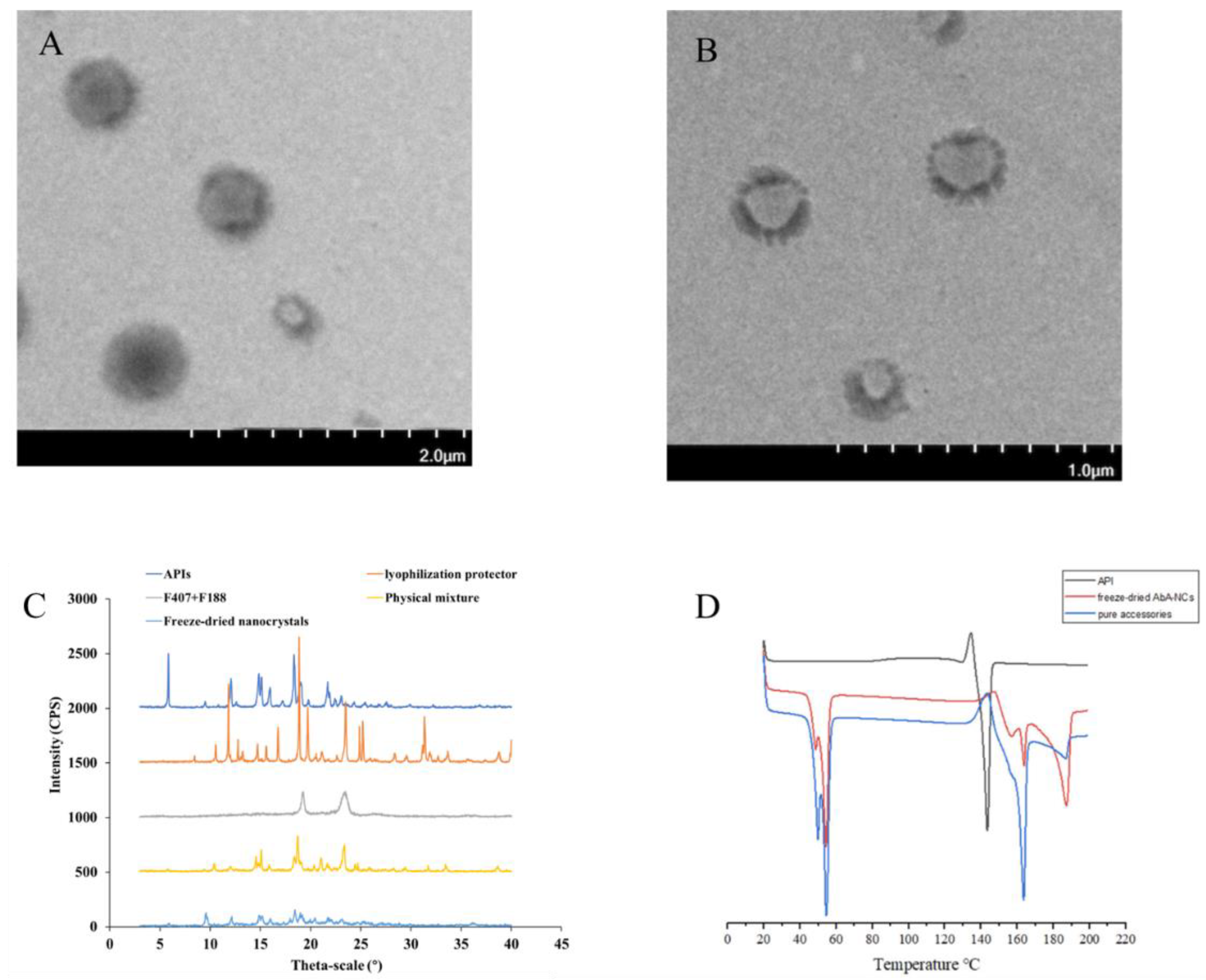 Pharmaceutics 14 01134 g006
