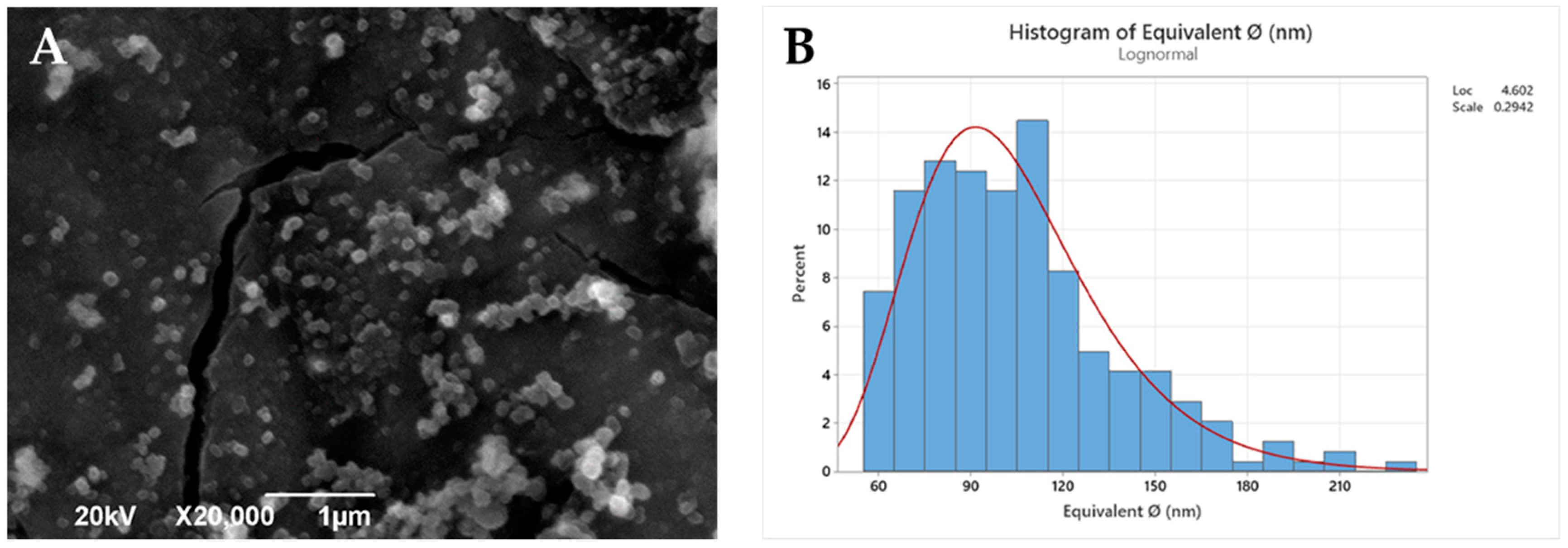 Pharmaceutics 14 01138 g003