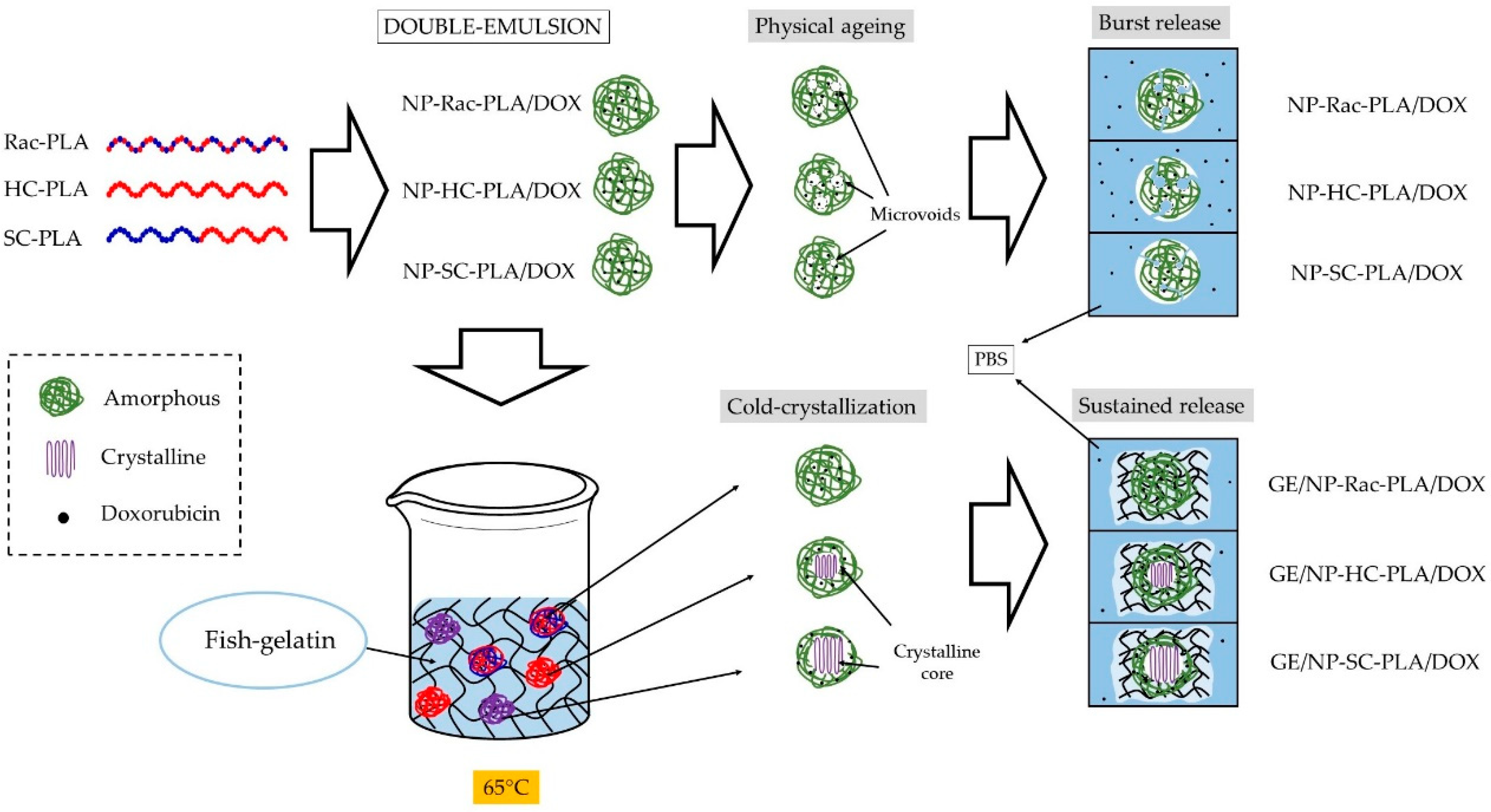 Pharmaceutics 14 01138 g010