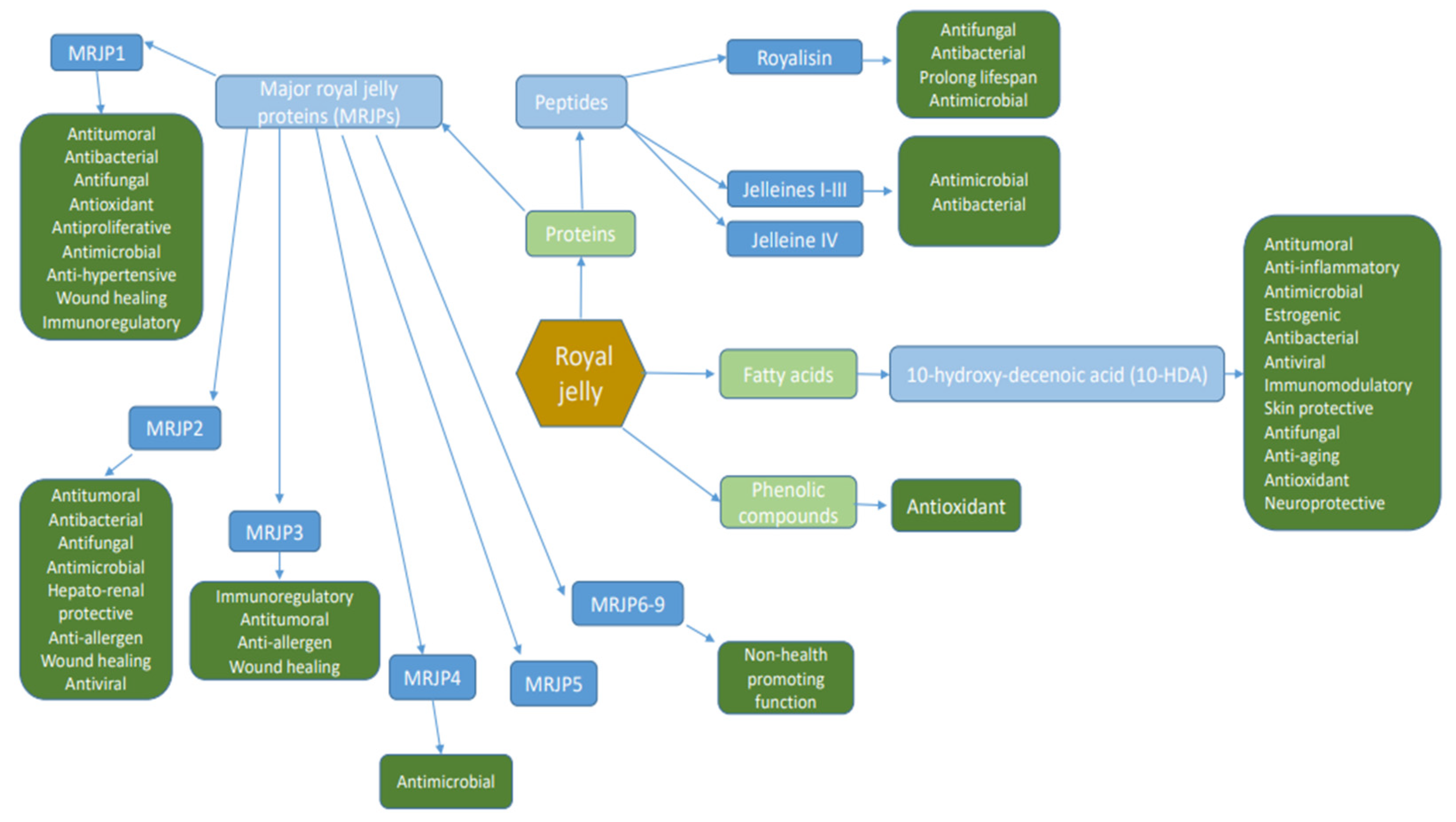 Pharmaceutics 14 01142 g001