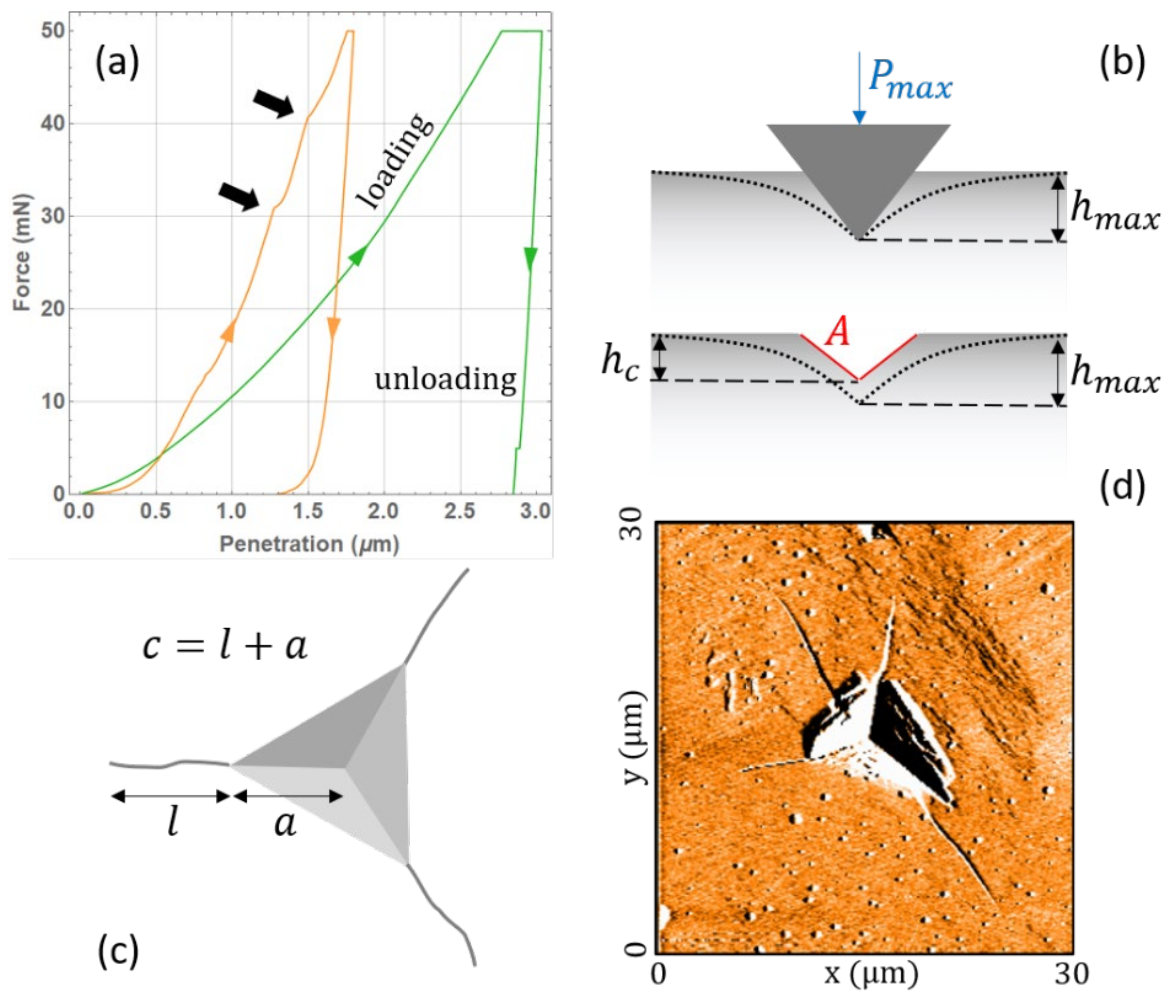 Pharmaceutics 14 01146 g001