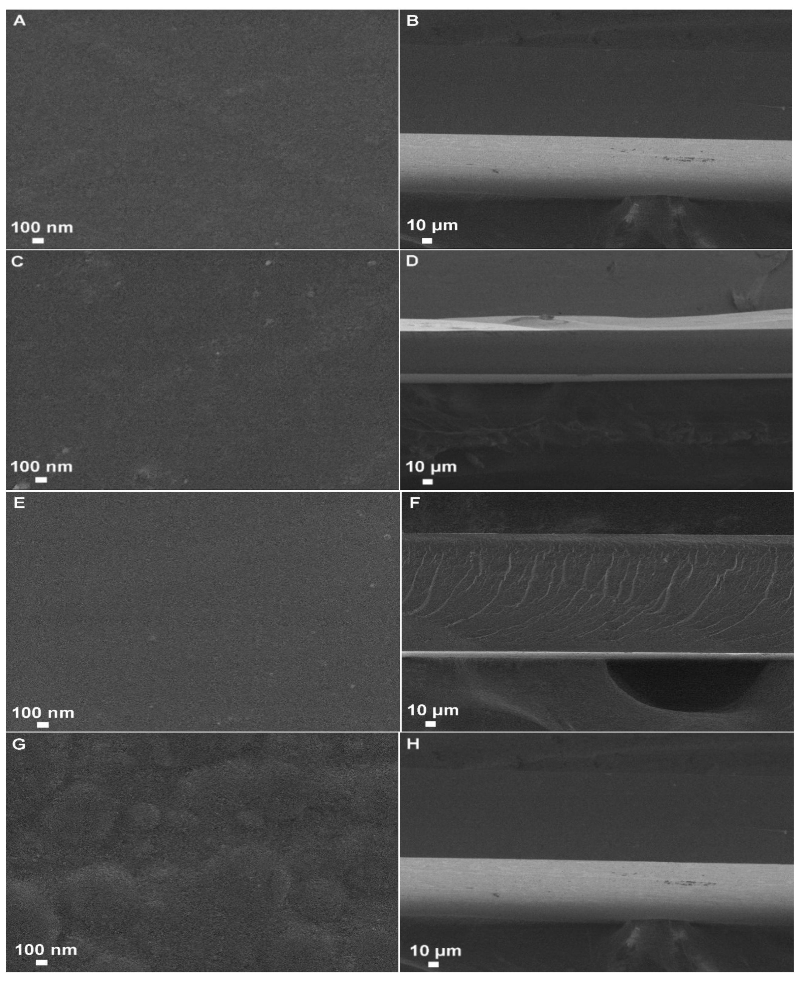 Pharmaceutics 14 01149 g001