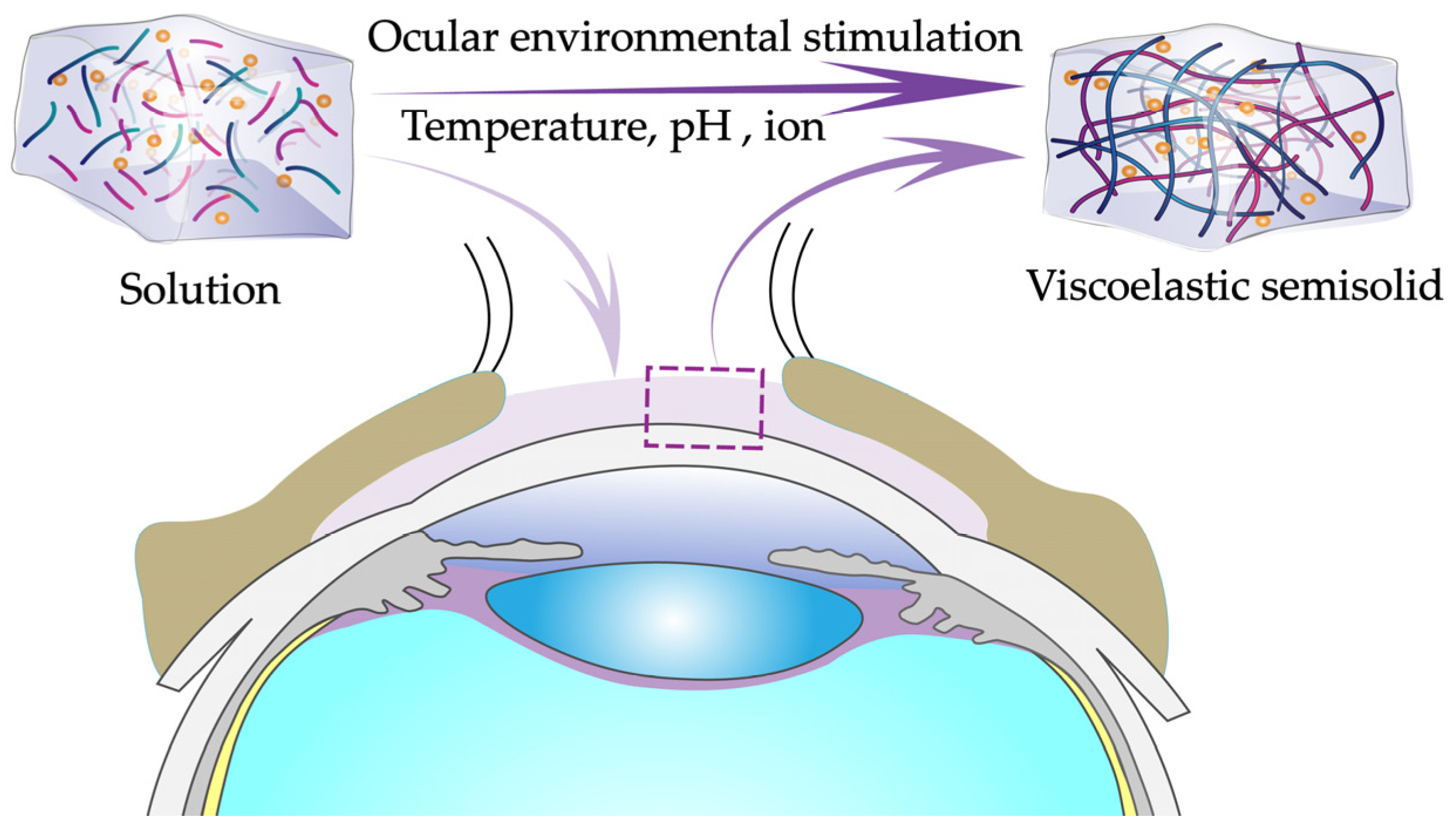 Pharmaceutics 14 01150 g004