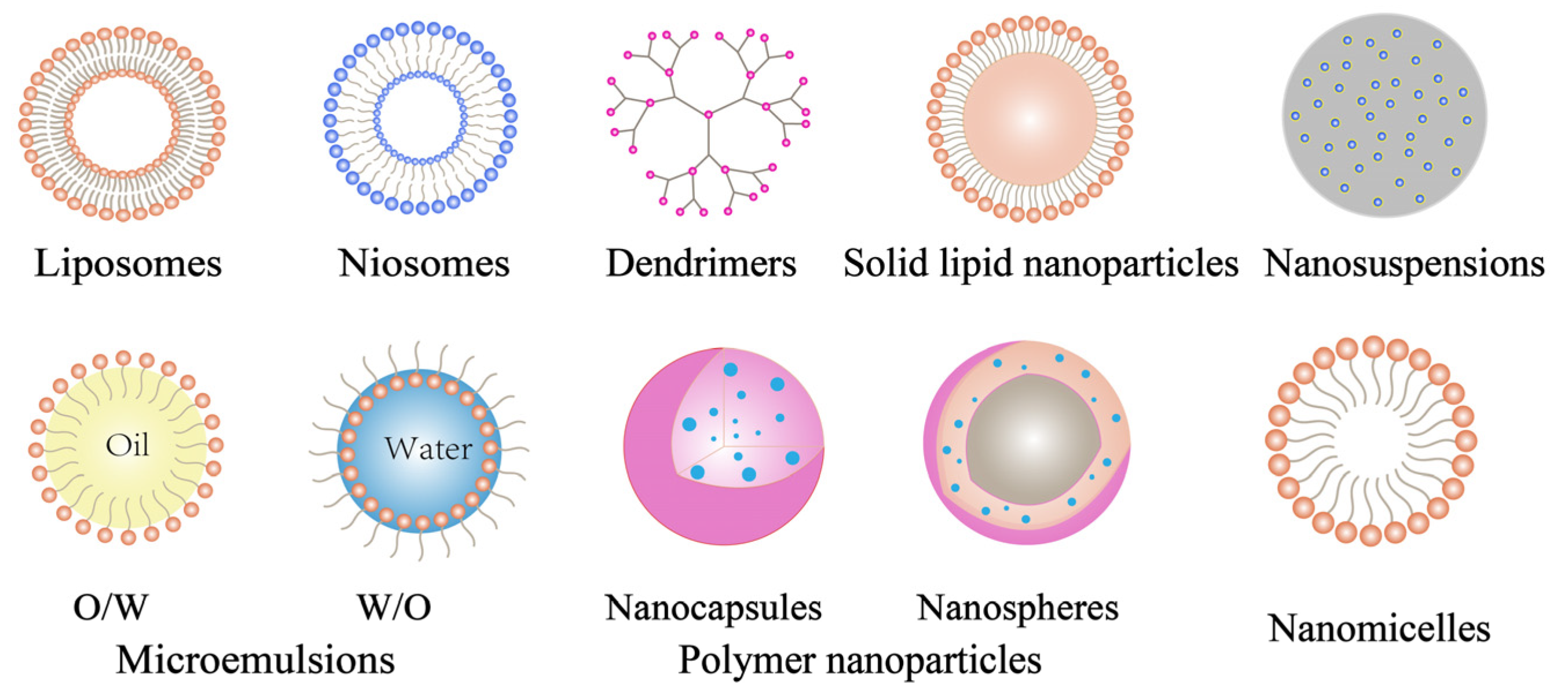 Pharmaceutics 14 01150 g005