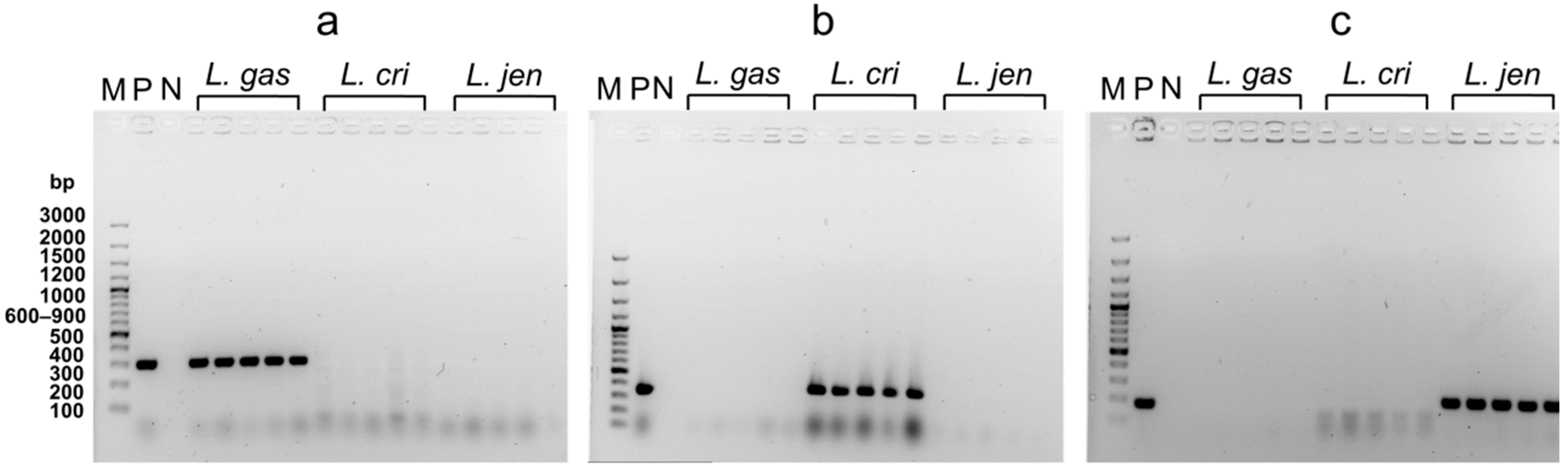Pharmaceutics 14 01155 g008