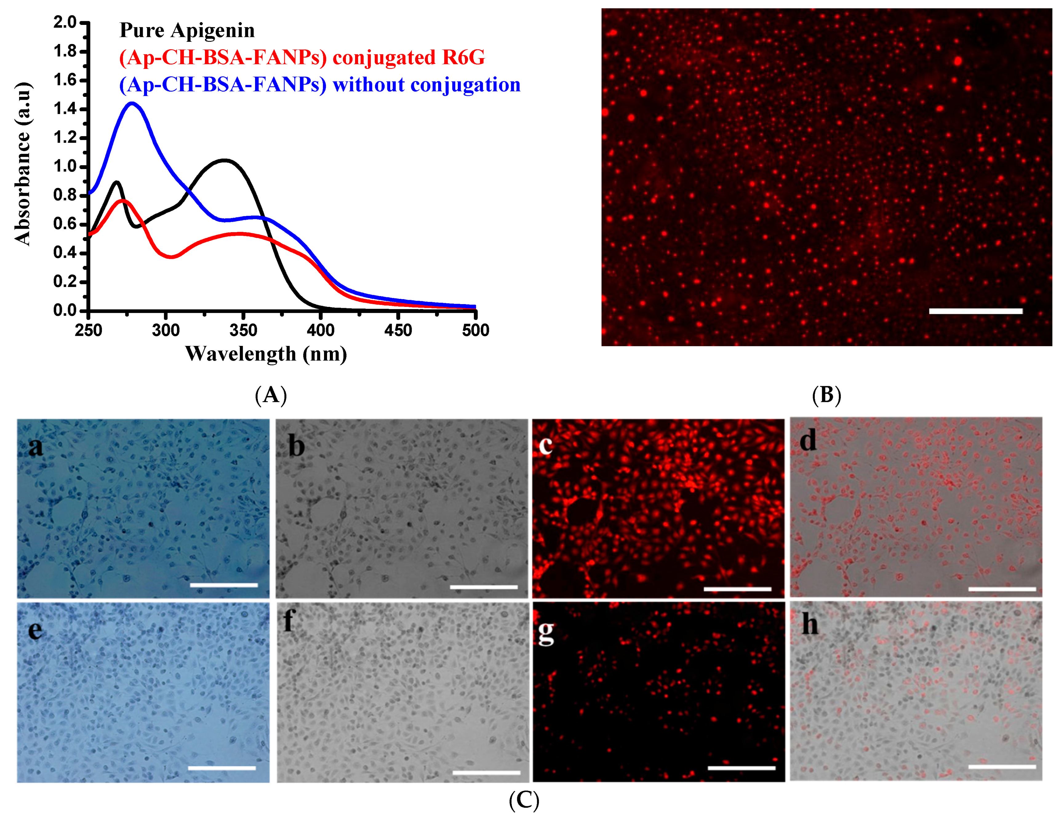 Pharmaceutics 14 01160 g007 Pharmaceutics 14 01160 g007