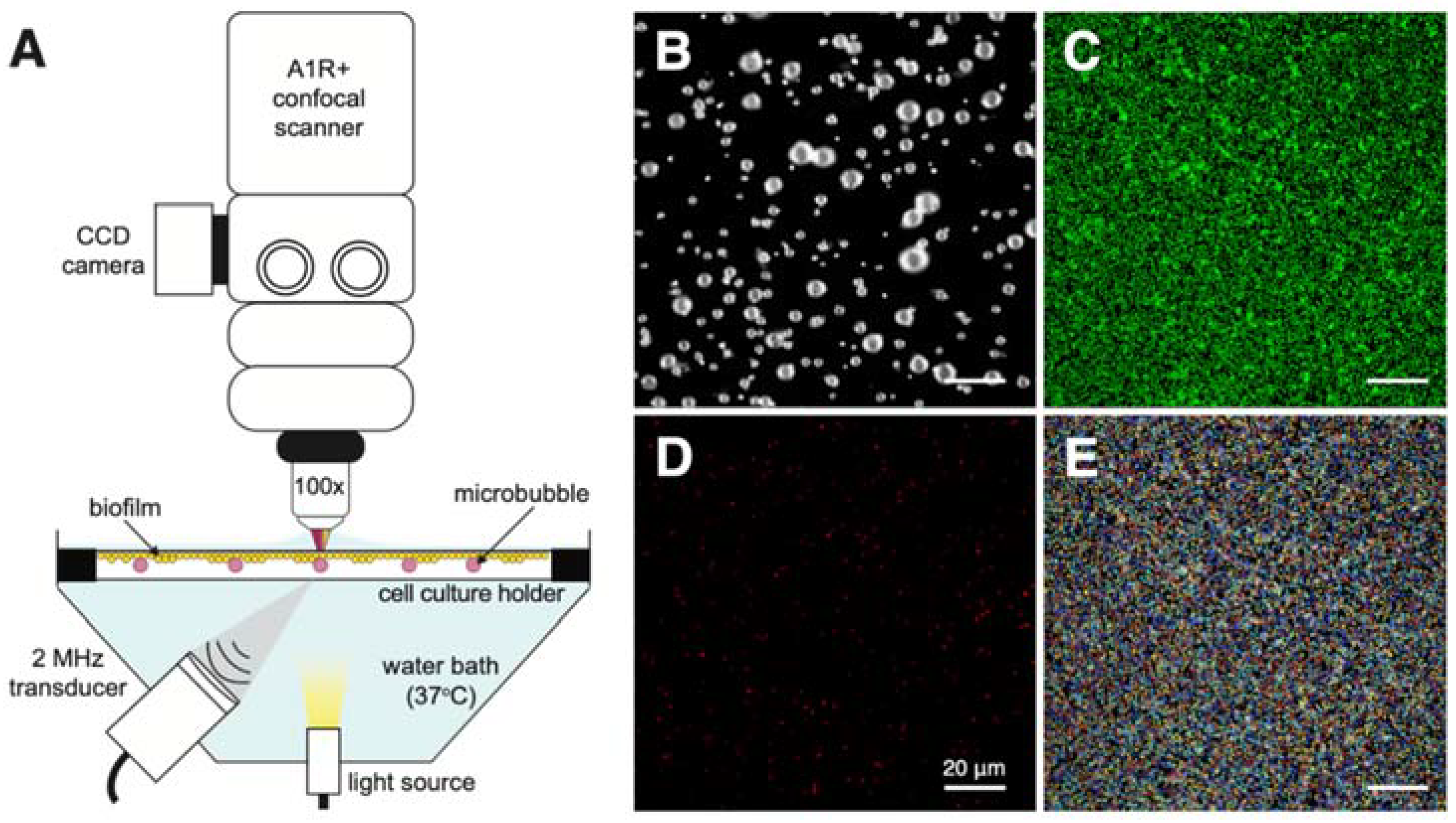 Pharmaceutics 14 01164 g001 Pharmaceutics 14 01164 g001