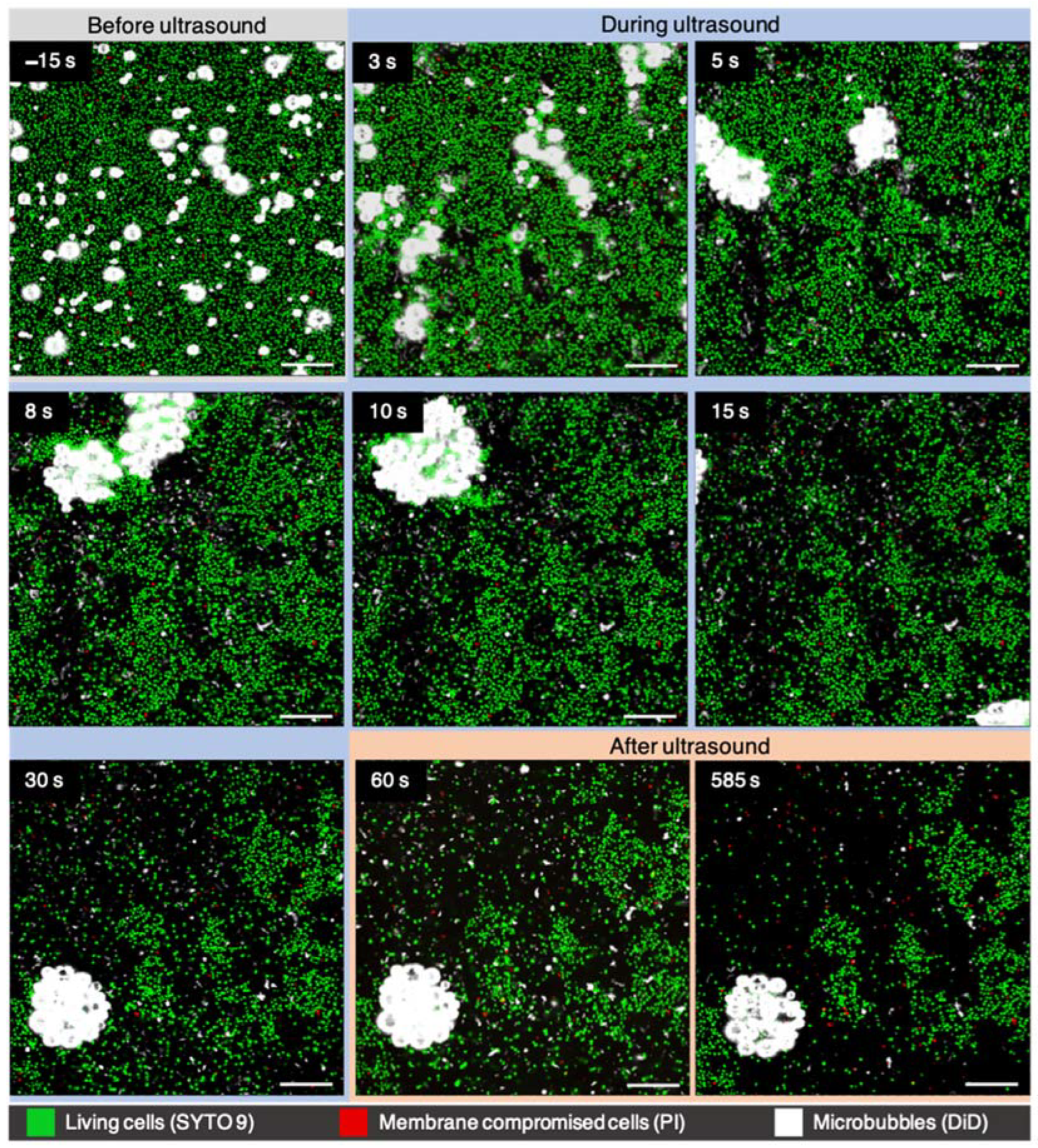Pharmaceutics 14 01164 g003 Pharmaceutics 14 01164 g003