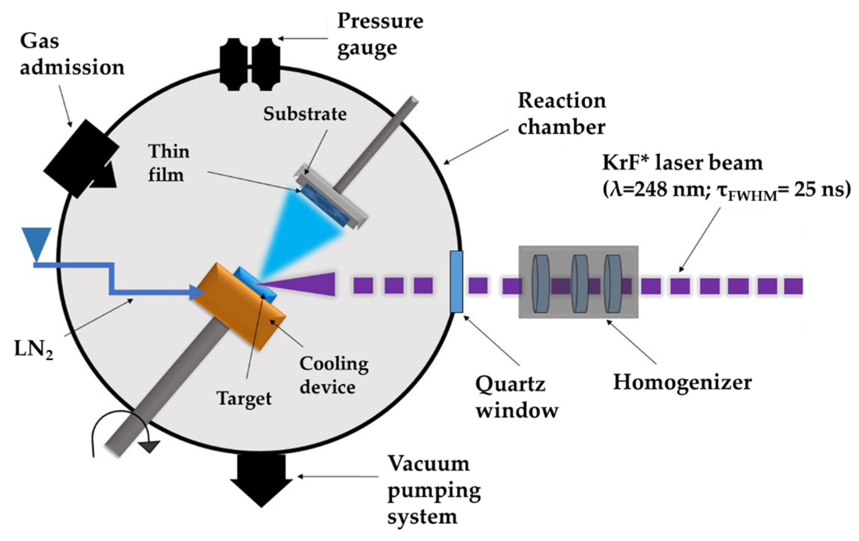 Pharmaceutics 14 01175 g001