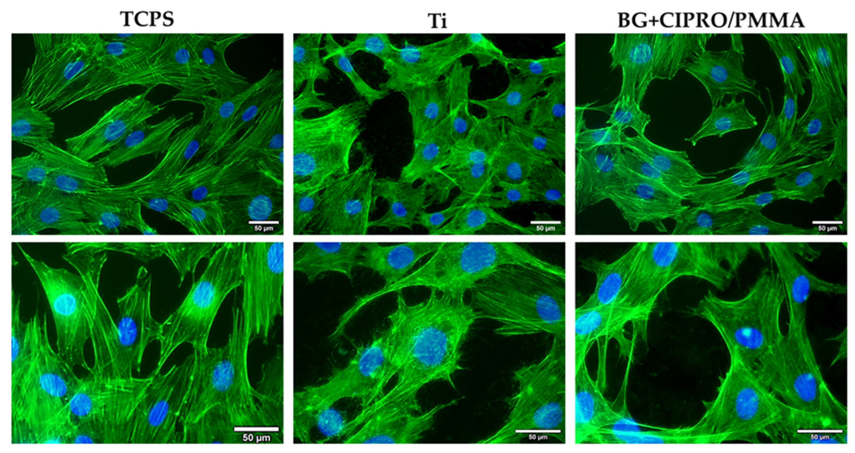 Pharmaceutics 14 01175 g011