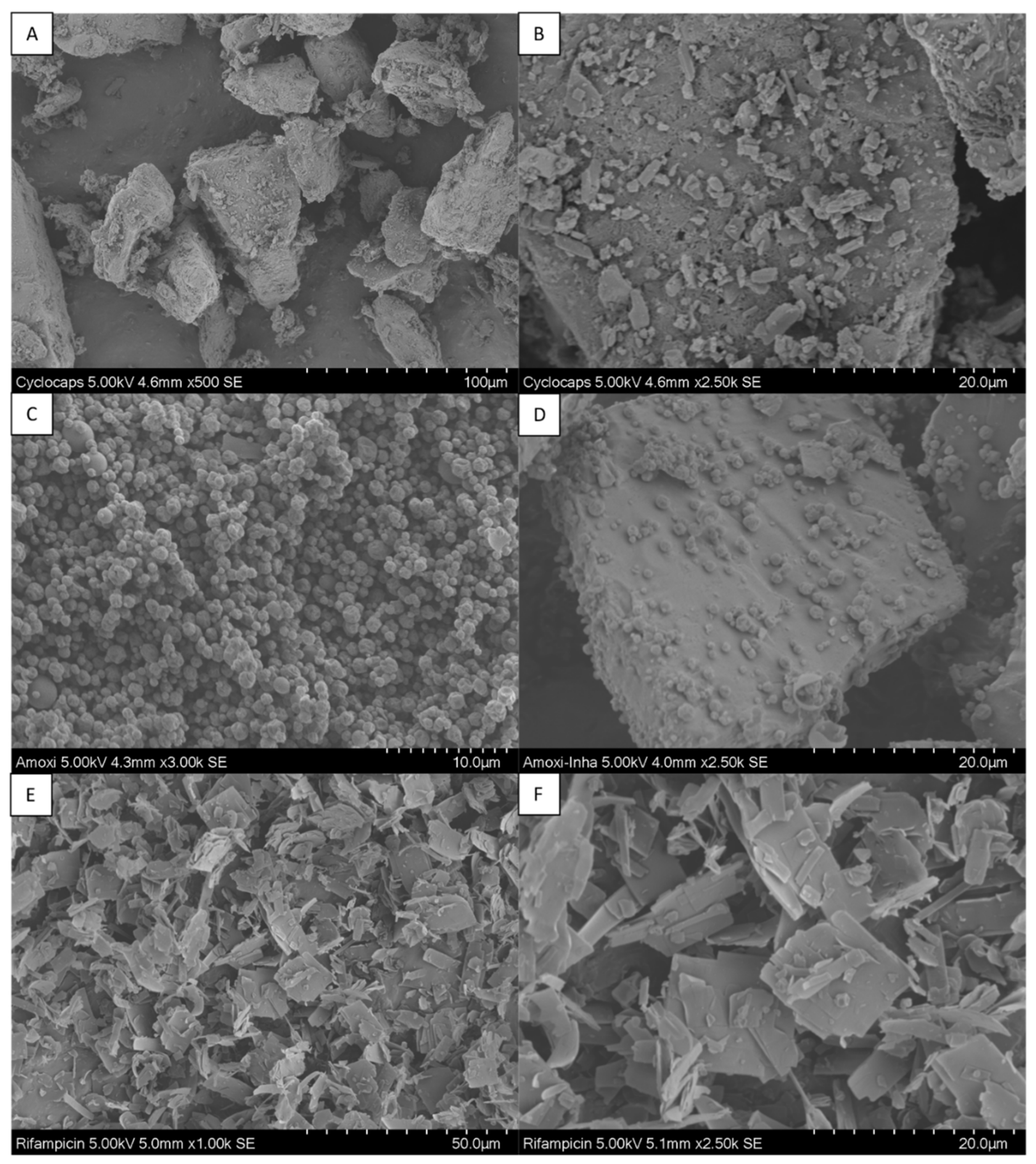 Pharmaceutics 14 01185 g003