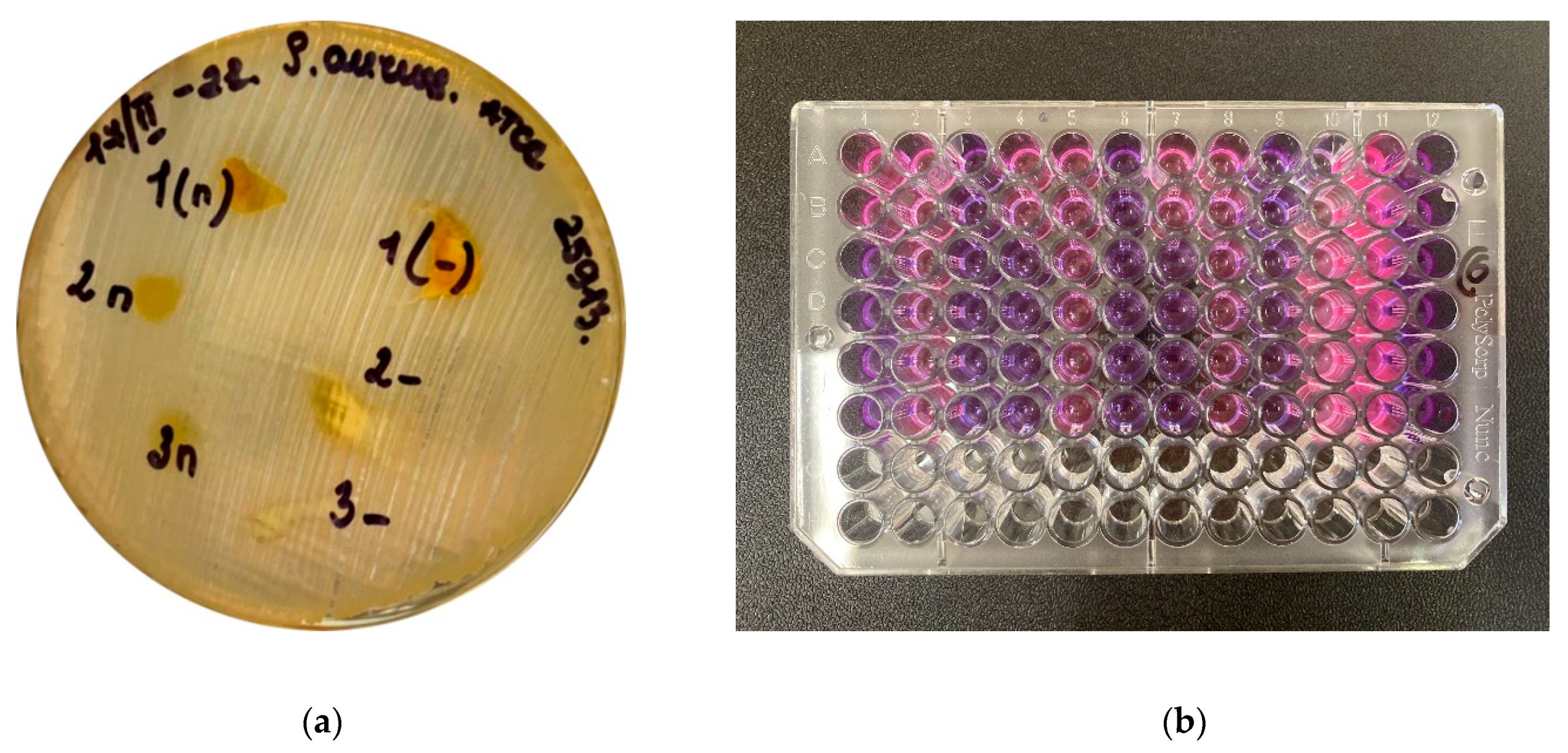 Pharmaceutics 14 01186 g012