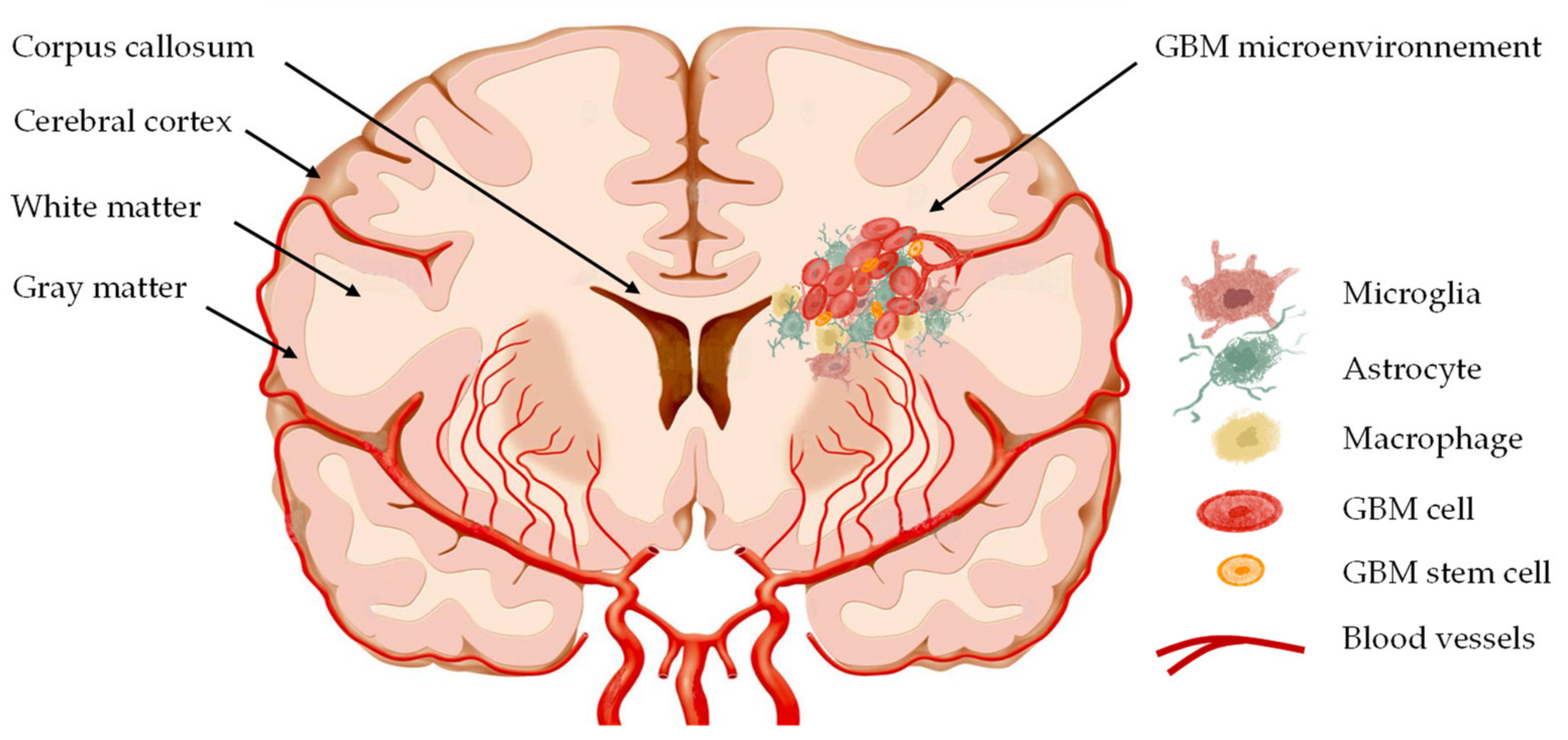 Pharmaceutics 14 01189 g001 Pharmaceutics 14 01189 g001