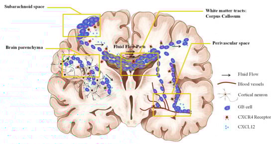 Pharmaceutics 14 01189 g002