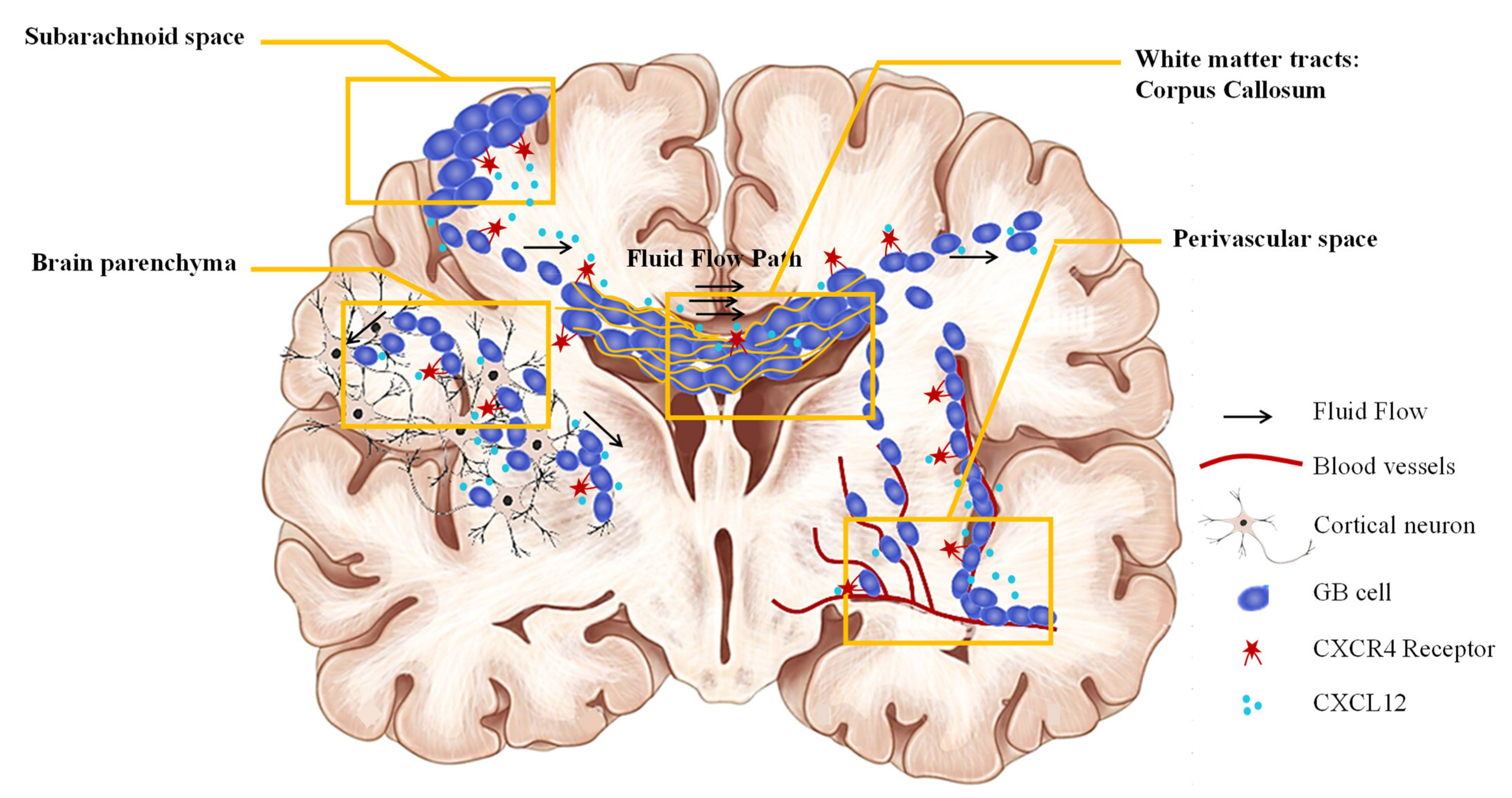 Pharmaceutics 14 01189 g002 Pharmaceutics 14 01189 g002