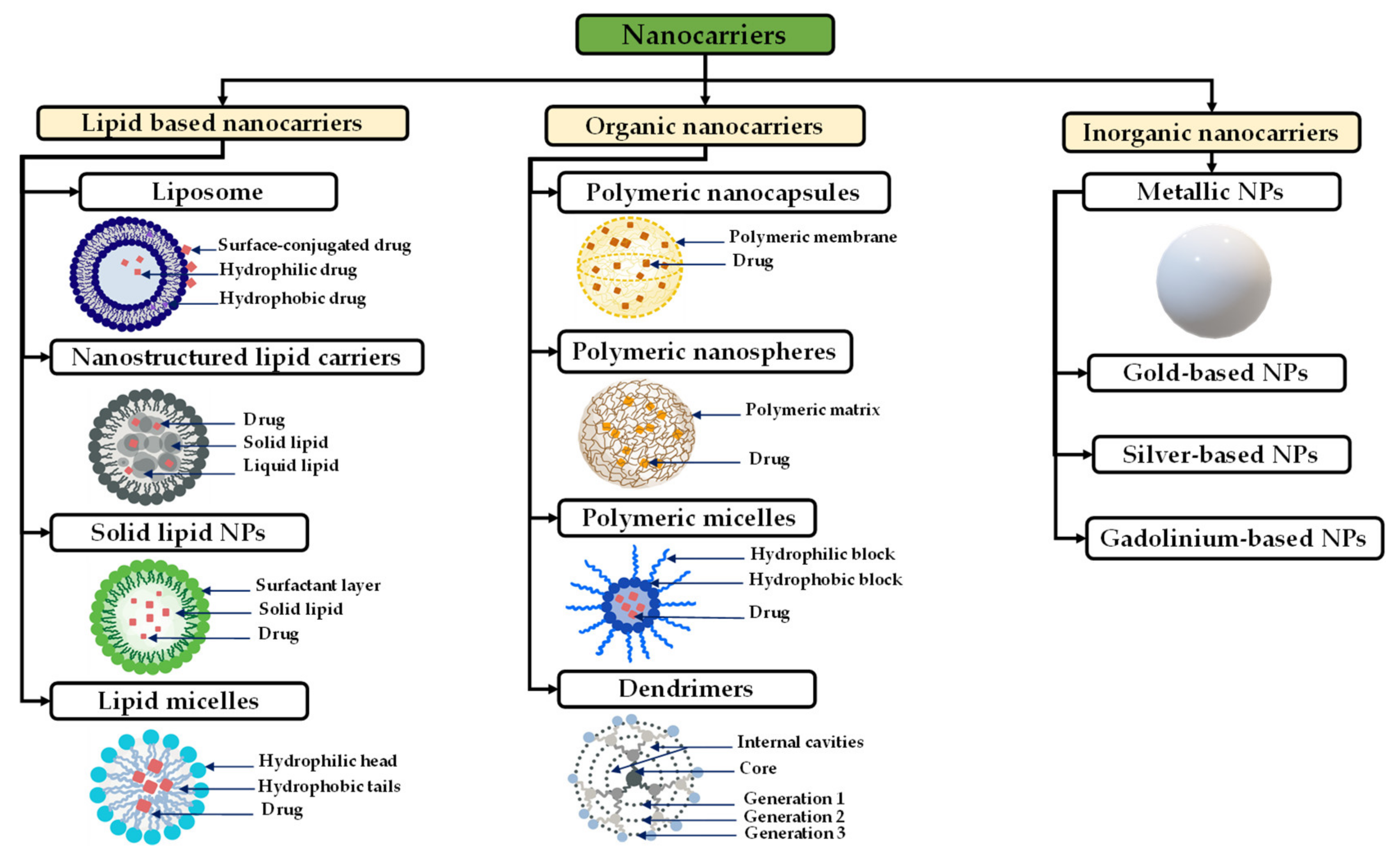 Pharmaceutics 14 01189 g005 Pharmaceutics 14 01189 g005