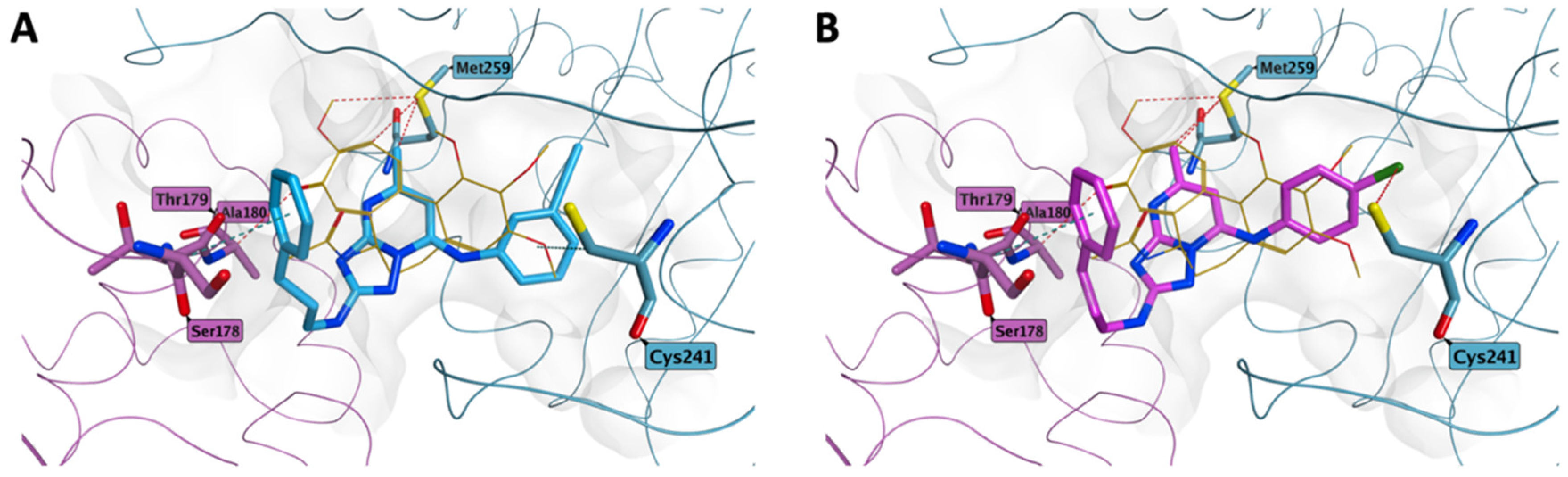 Pharmaceutics 14 01191 g004