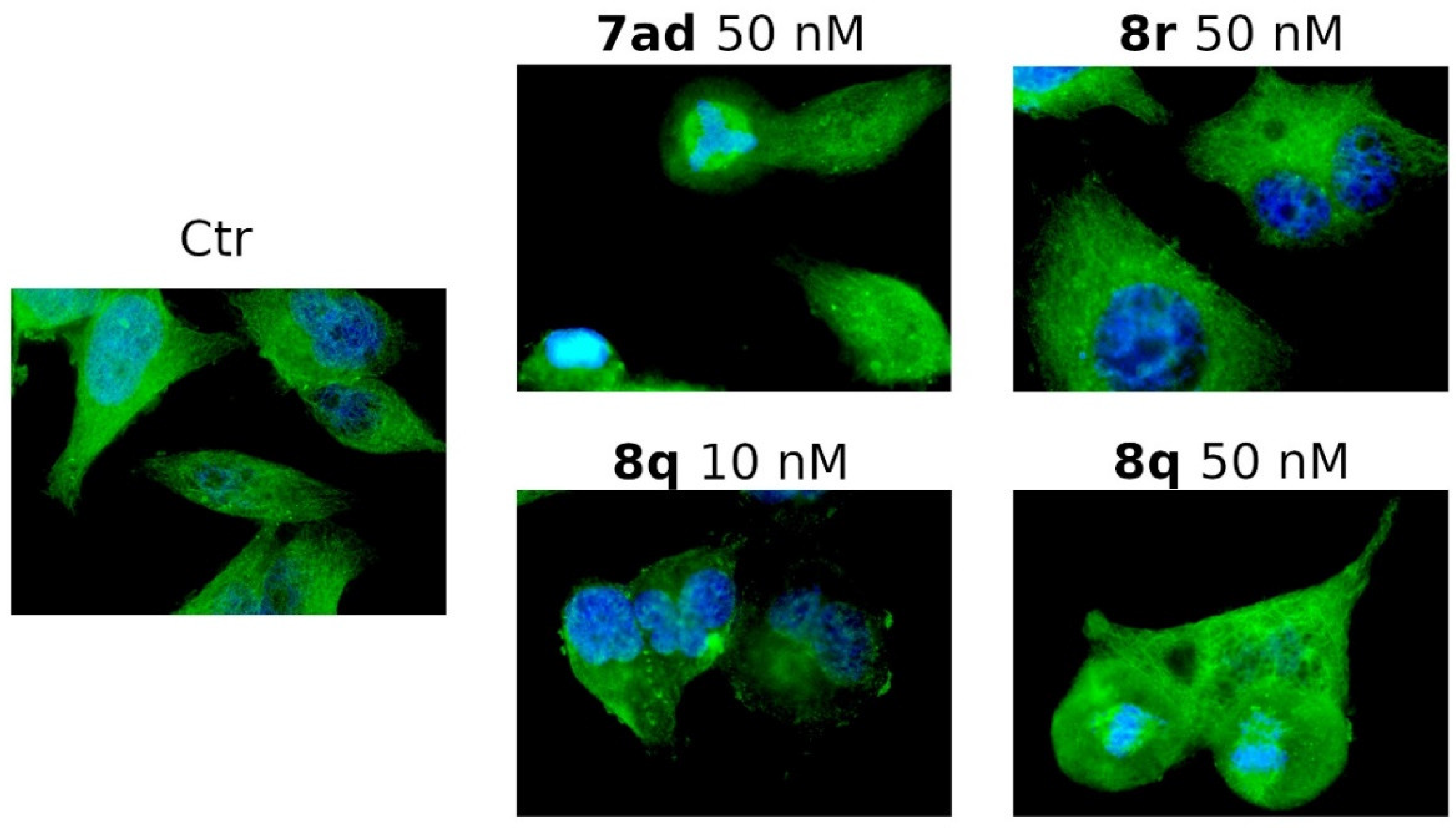 Pharmaceutics 14 01191 g005